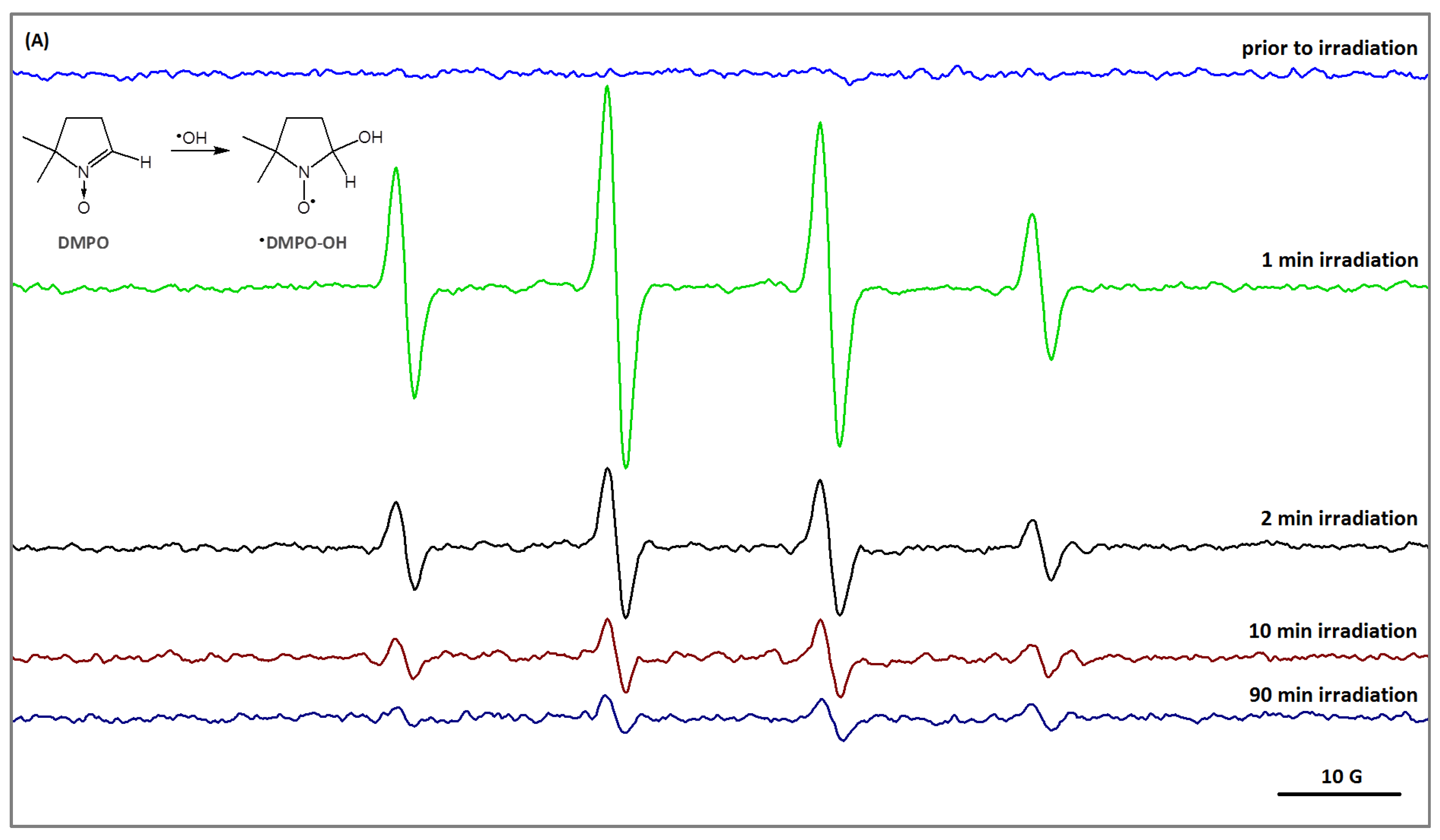 Gels 11 00773 g003a Gels 11 00773 g003a