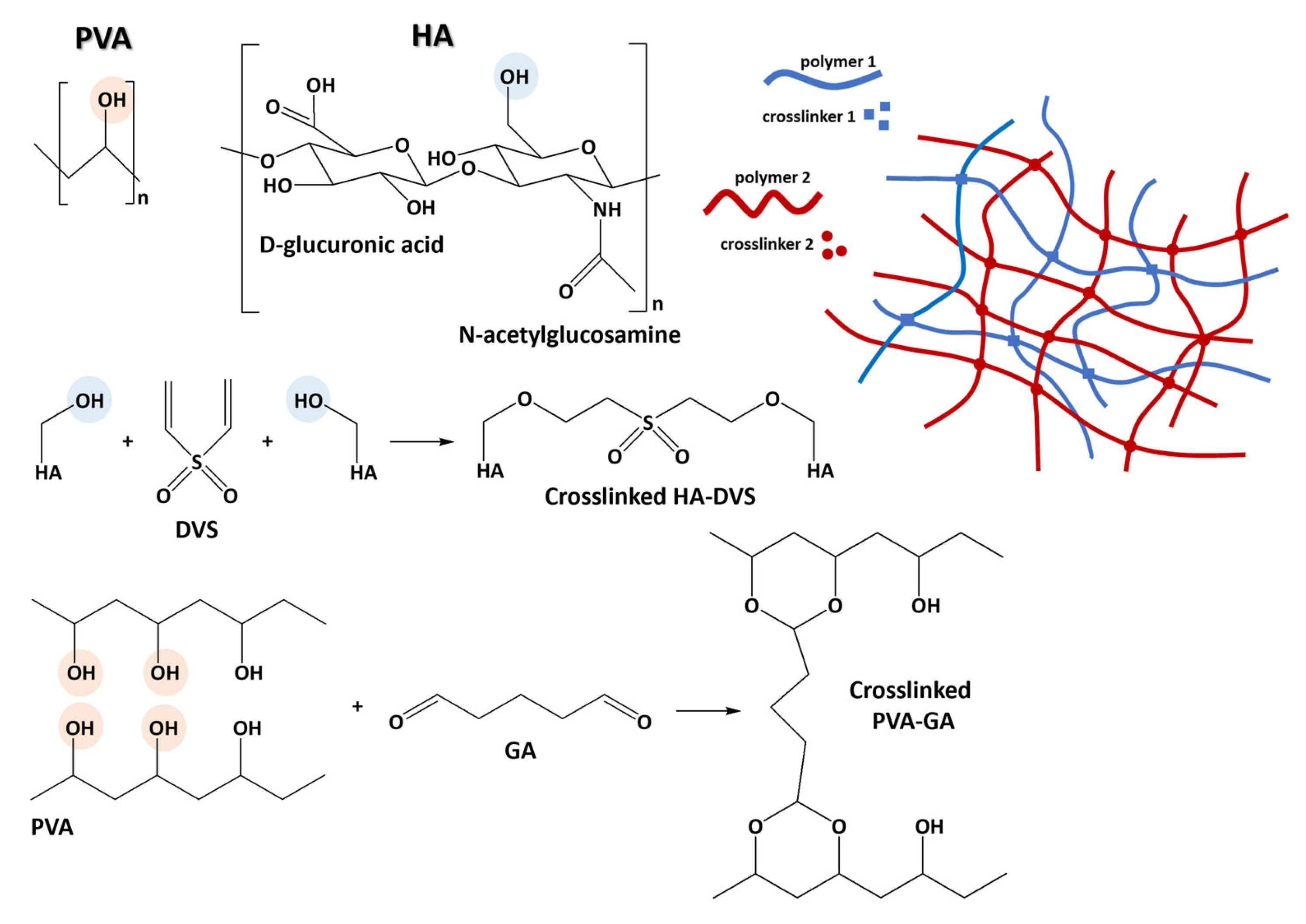 Gels 11 00773 sch001 Gels 11 00773 sch001