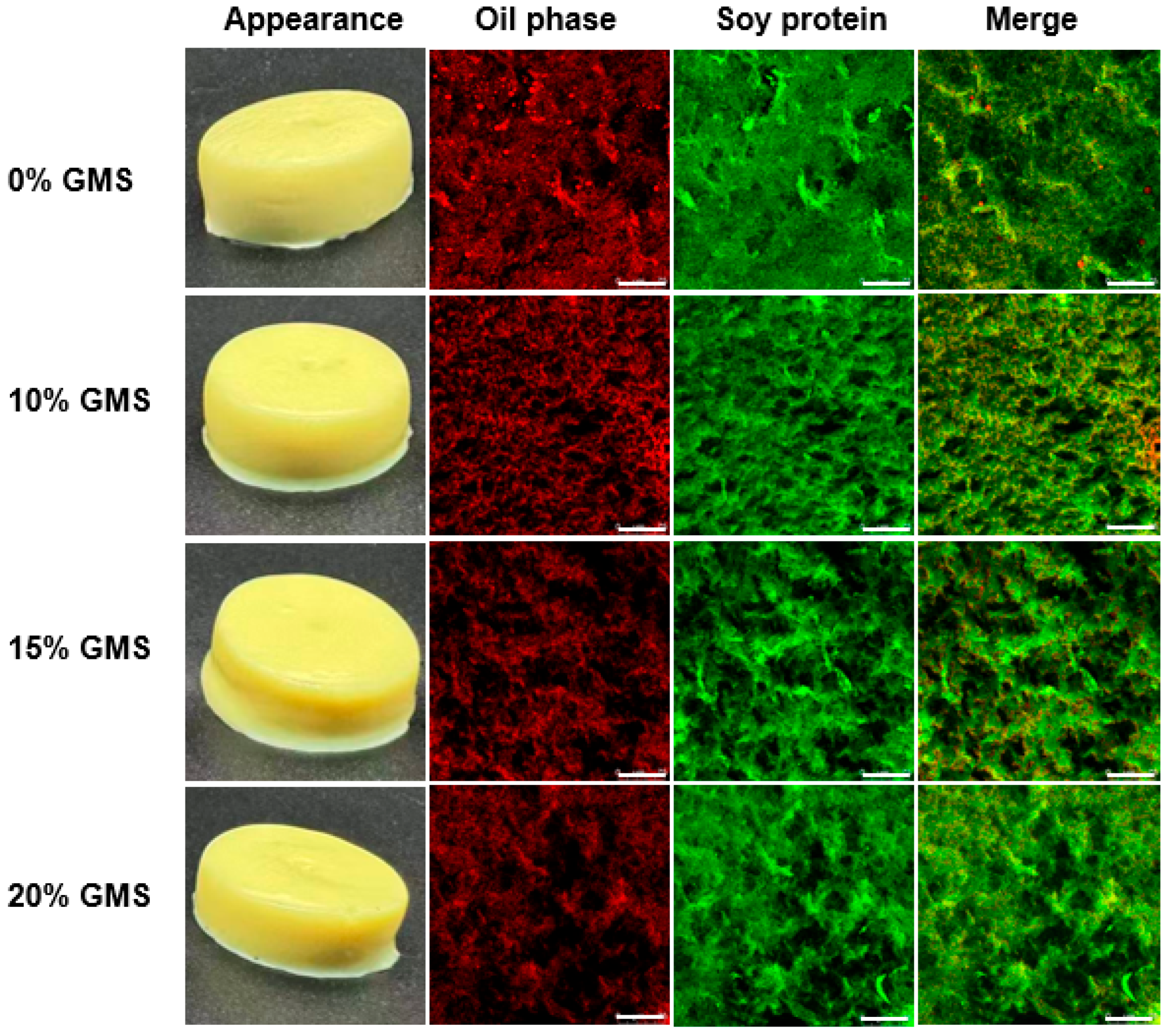 Gels 11 00782 g002 Gels 11 00782 g002