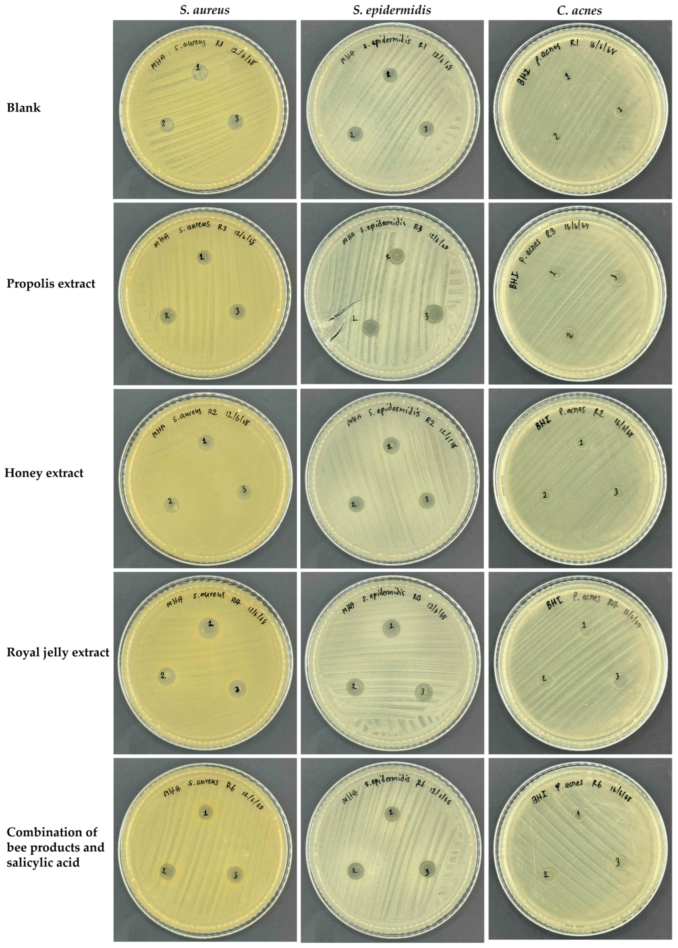 Gels 11 00802 g003 Gels 11 00802 g003