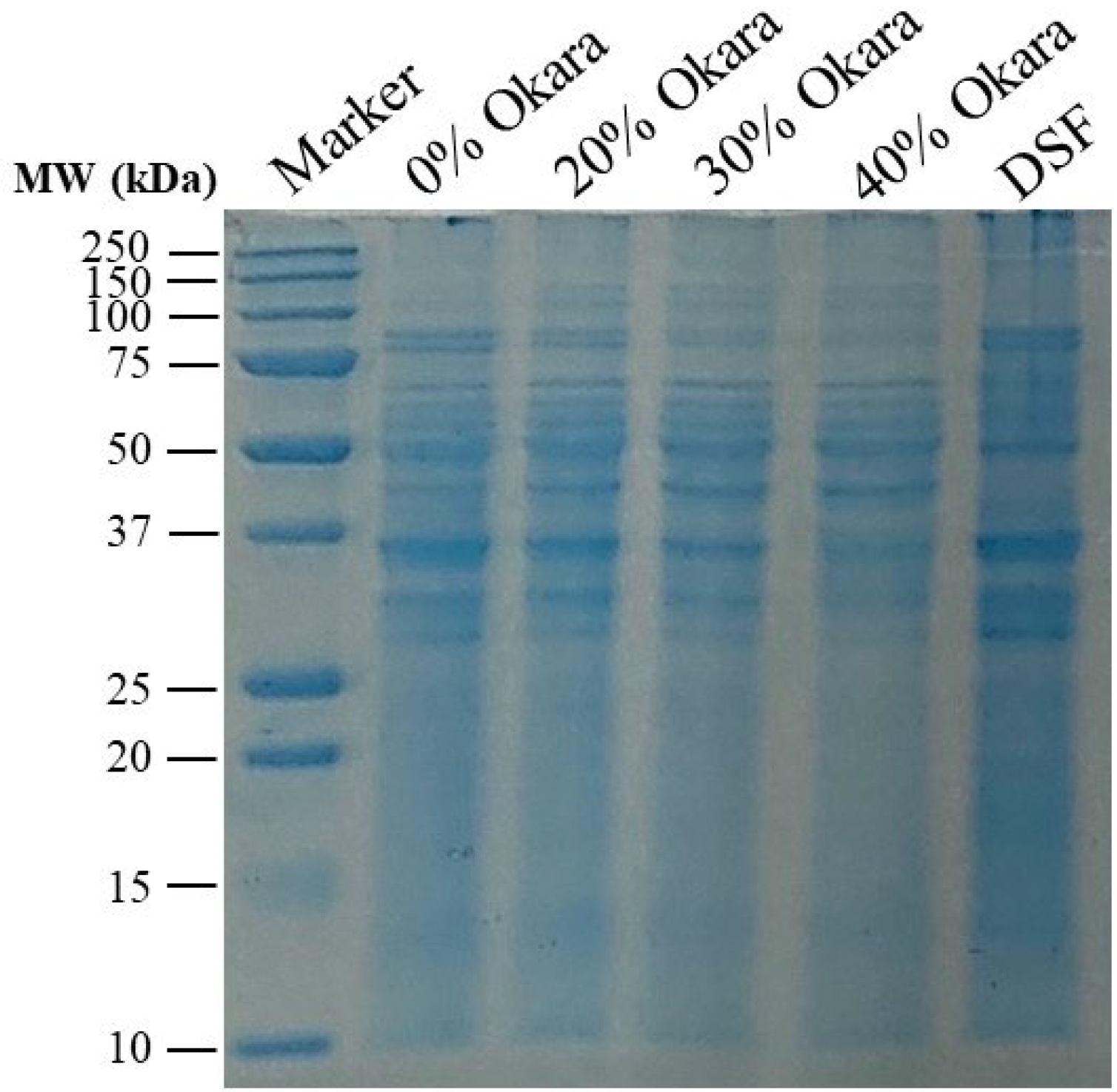 Gels 11 00805 g004 Gels 11 00805 g004
