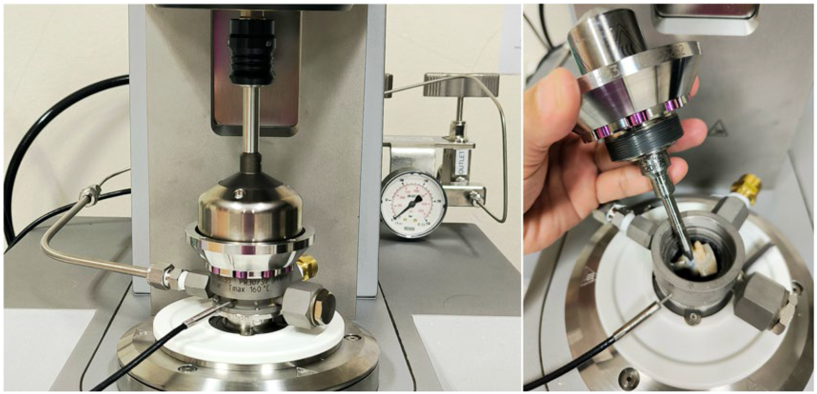 Gels 11 00805 g007 Gels 11 00805 g007