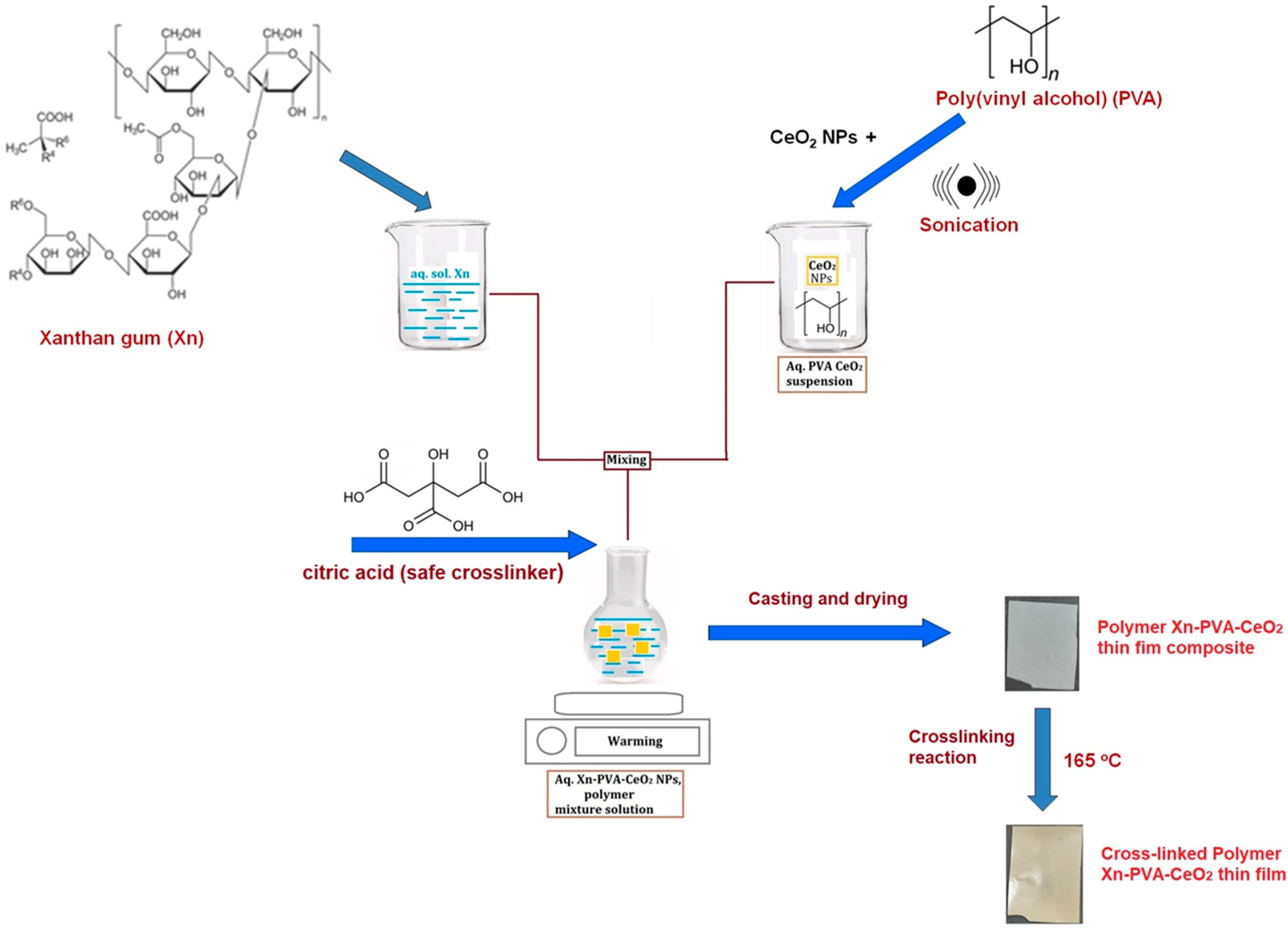 Gels 11 00809 g001 Gels 11 00809 g001