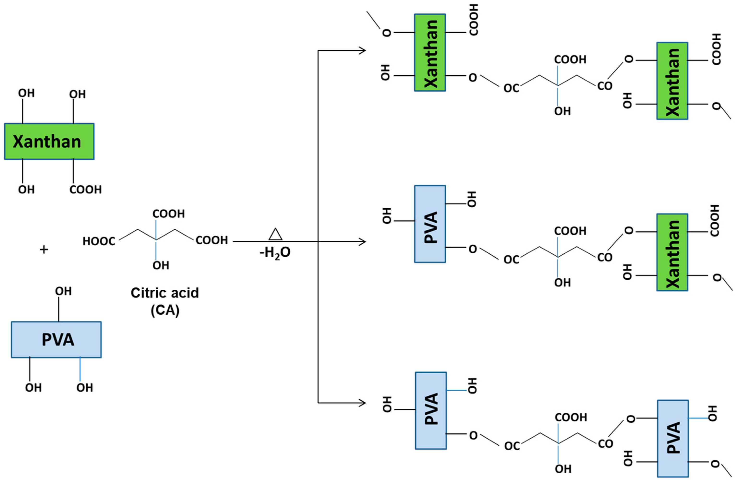 Gels 11 00809 g002 Gels 11 00809 g002