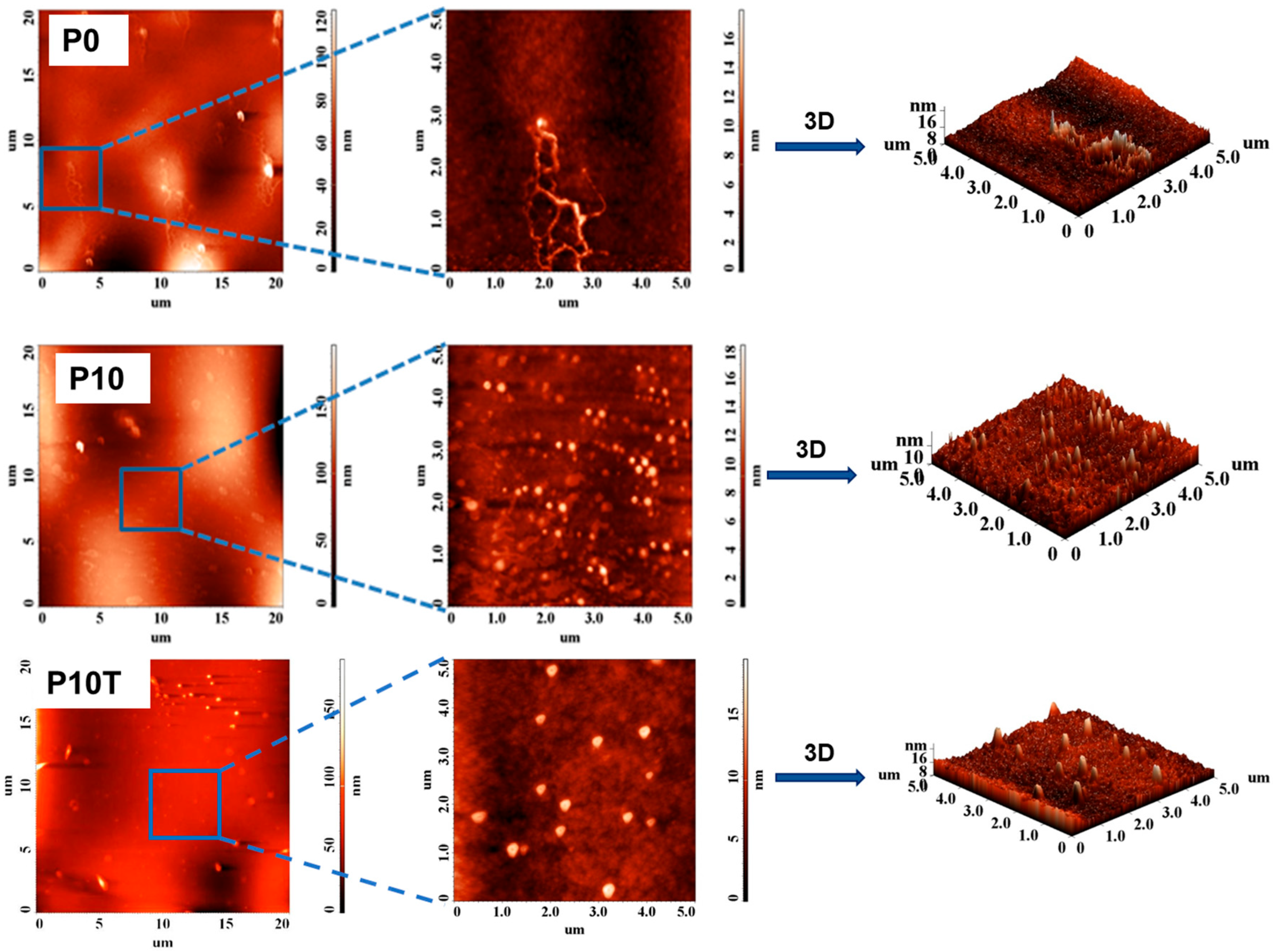 Gels 11 00809 g006 Gels 11 00809 g006