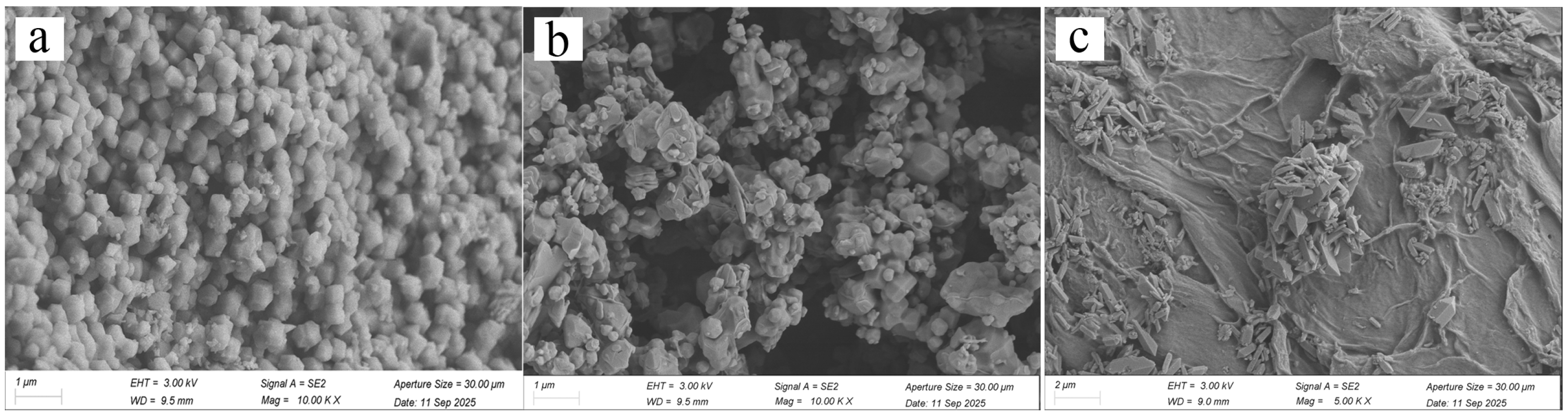 Gels 11 00813 g001 Gels 11 00813 g001