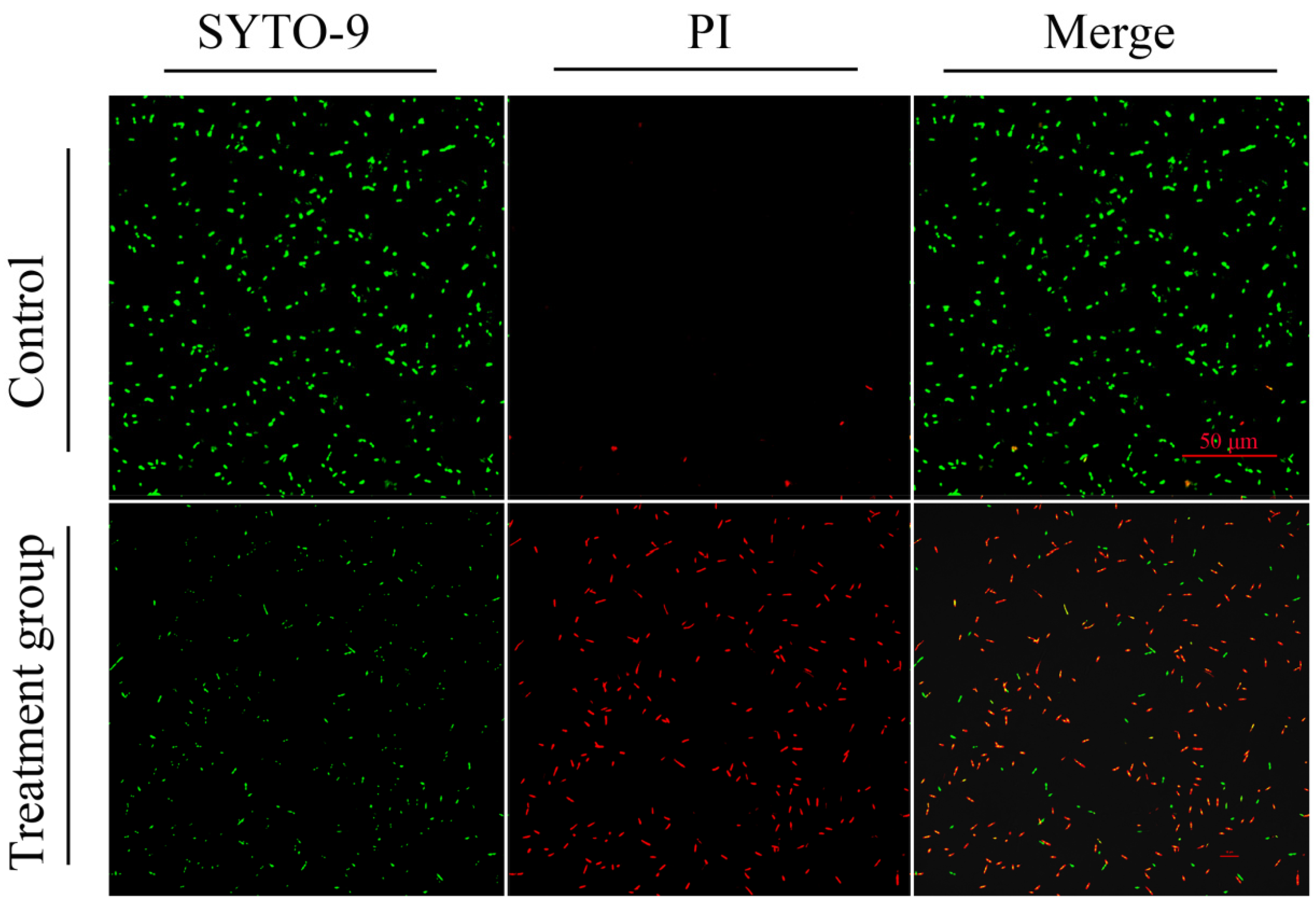 Gels 11 00813 g011 Gels 11 00813 g011