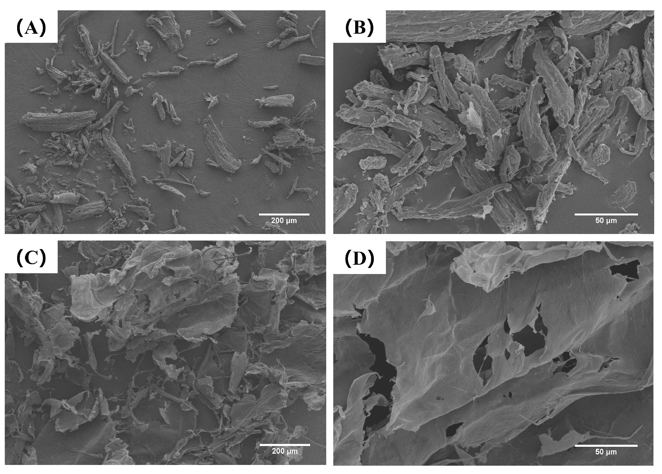 Gels 11 00819 g002 Gels 11 00819 g002