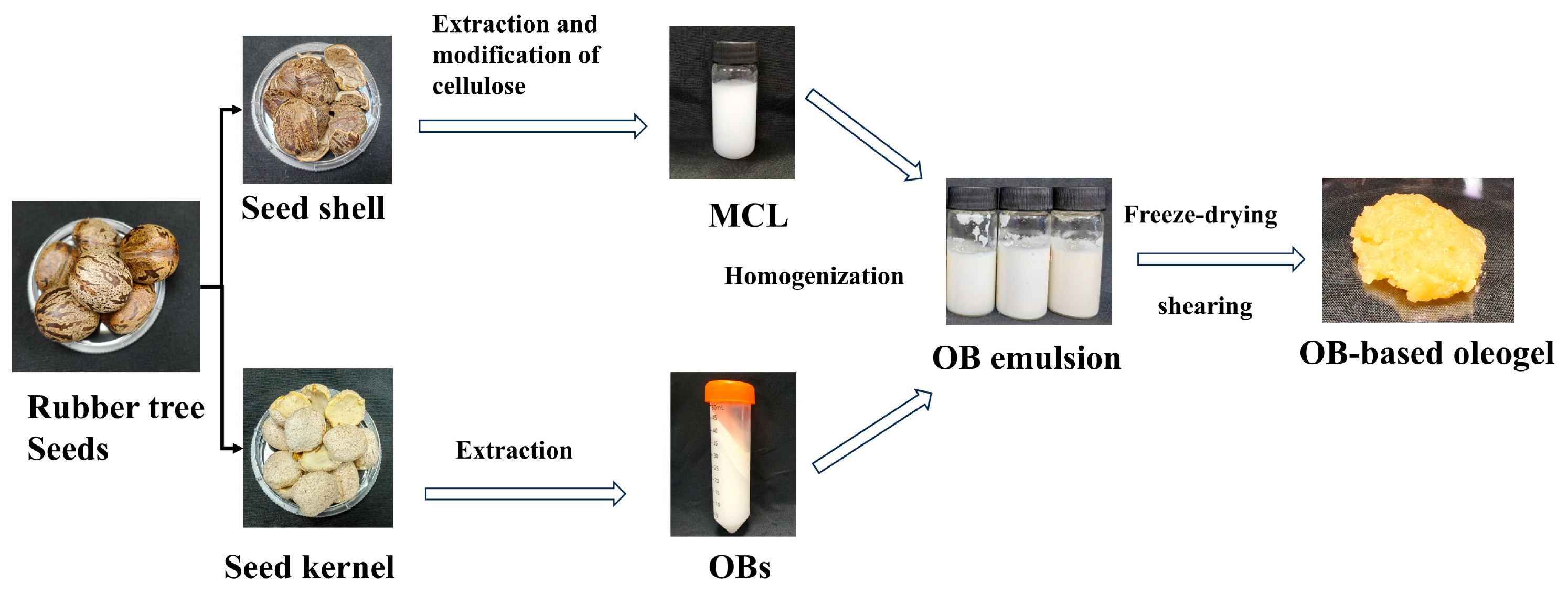Gels 11 00819 g008 Gels 11 00819 g008