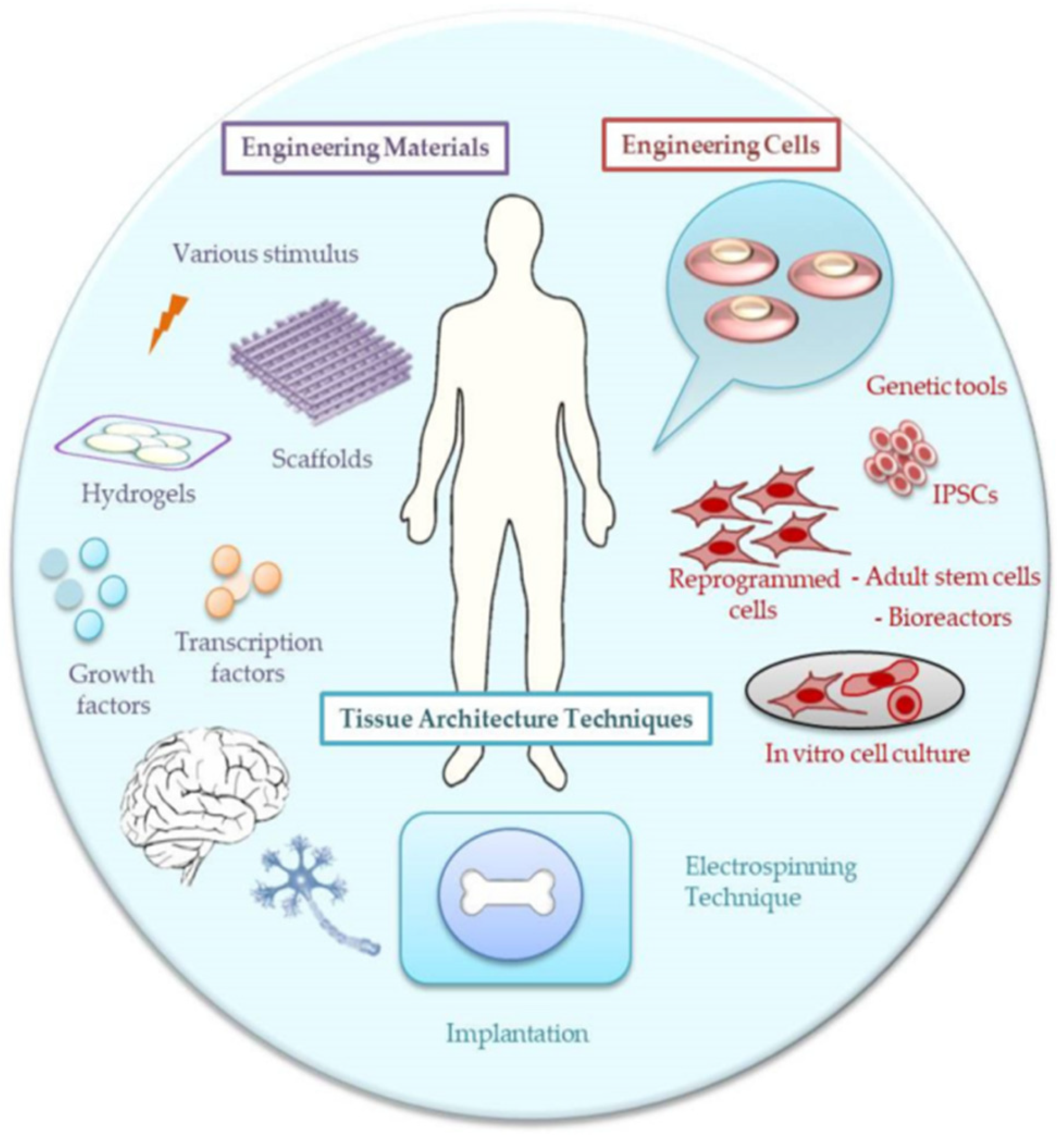 Gels 11 00826 g002 Gels 11 00826 g002