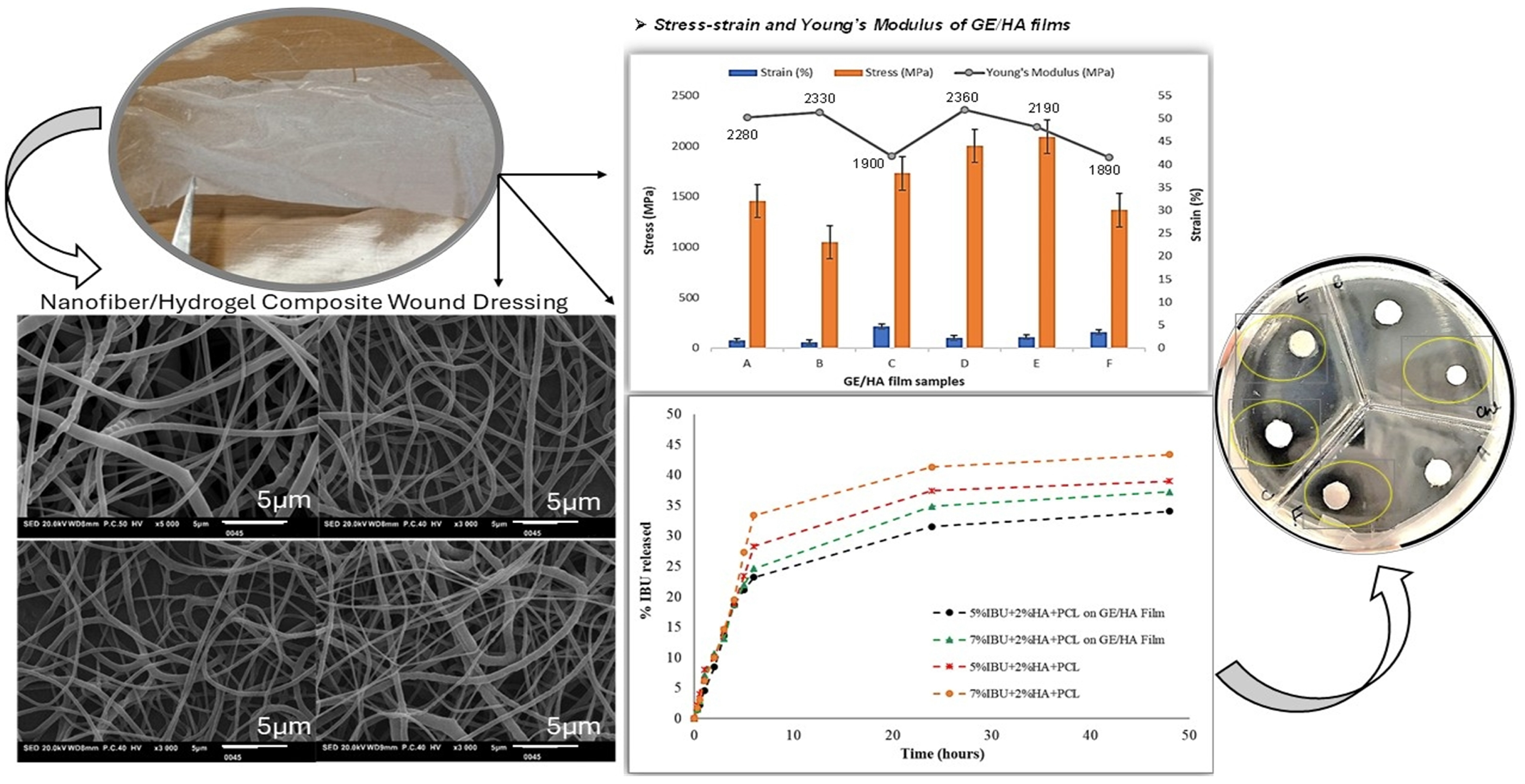 Gels 11 00826 g003 Gels 11 00826 g003