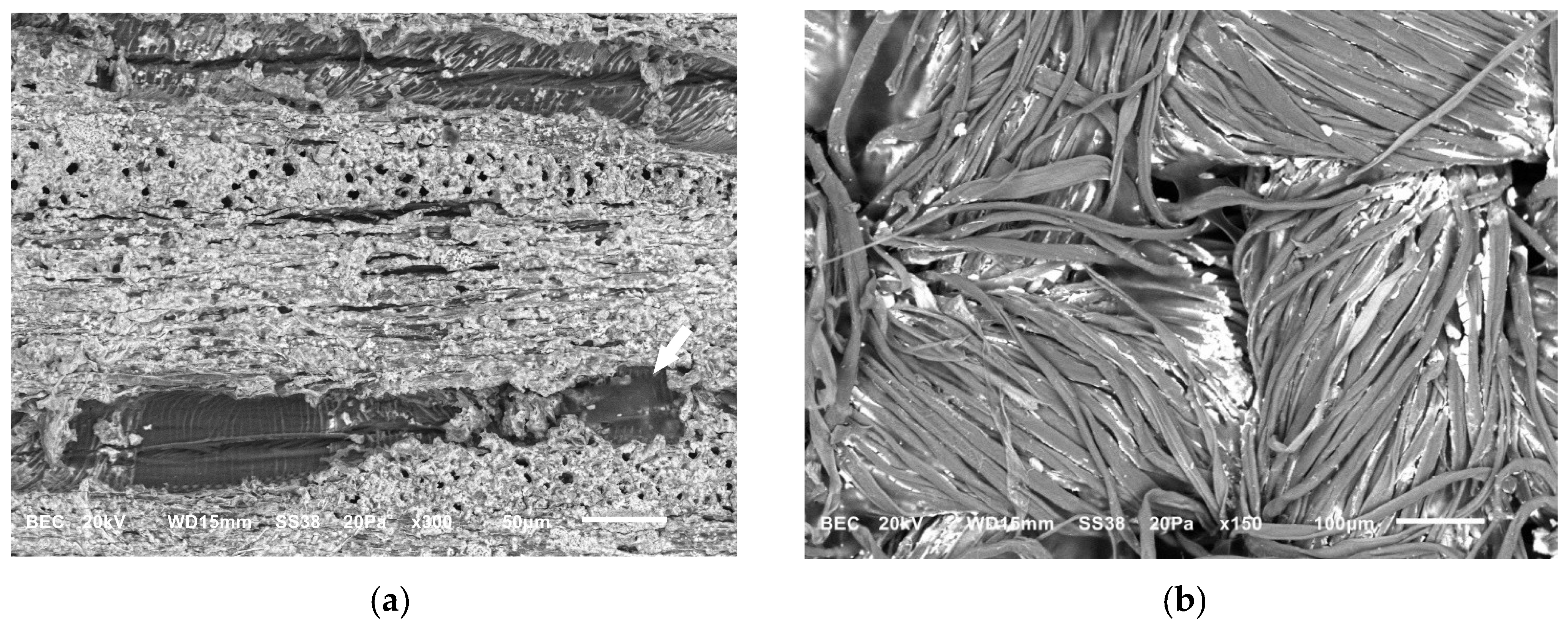 Gels 11 00828 g004 Gels 11 00828 g004