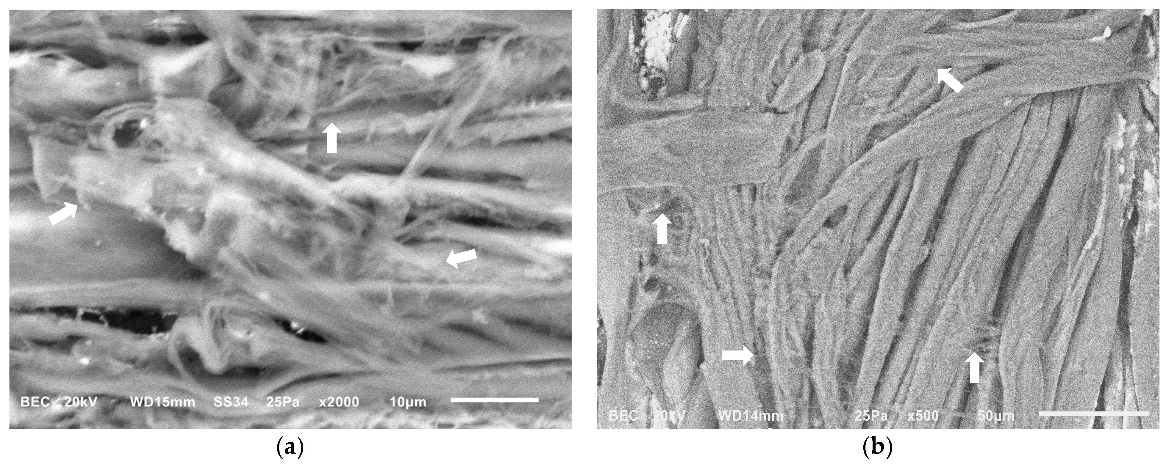 Gels 11 00828 g005 Gels 11 00828 g005