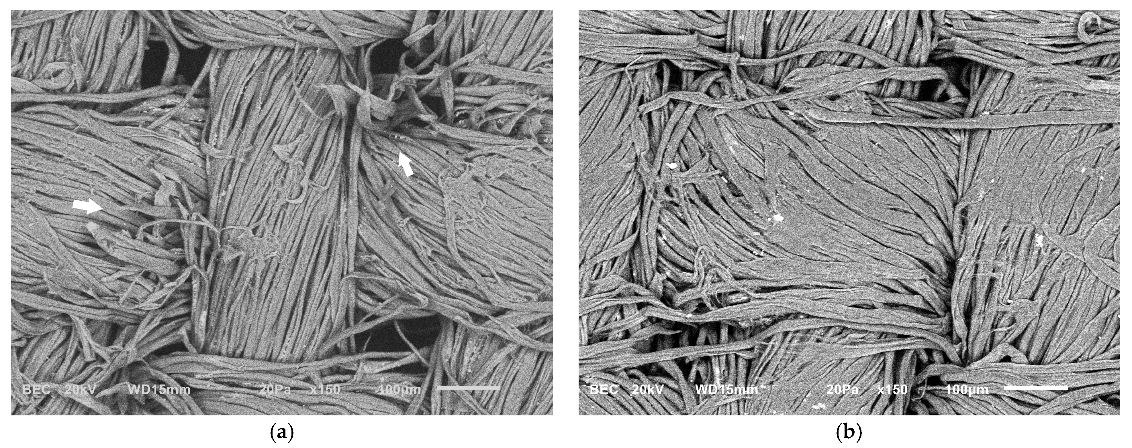 Gels 11 00828 g007 Gels 11 00828 g007