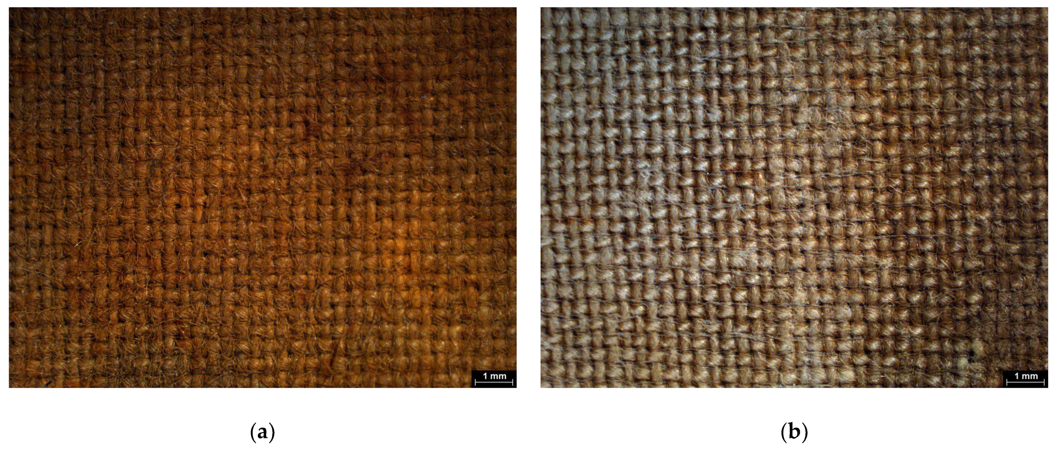 Gels 11 00828 g015 Gels 11 00828 g015