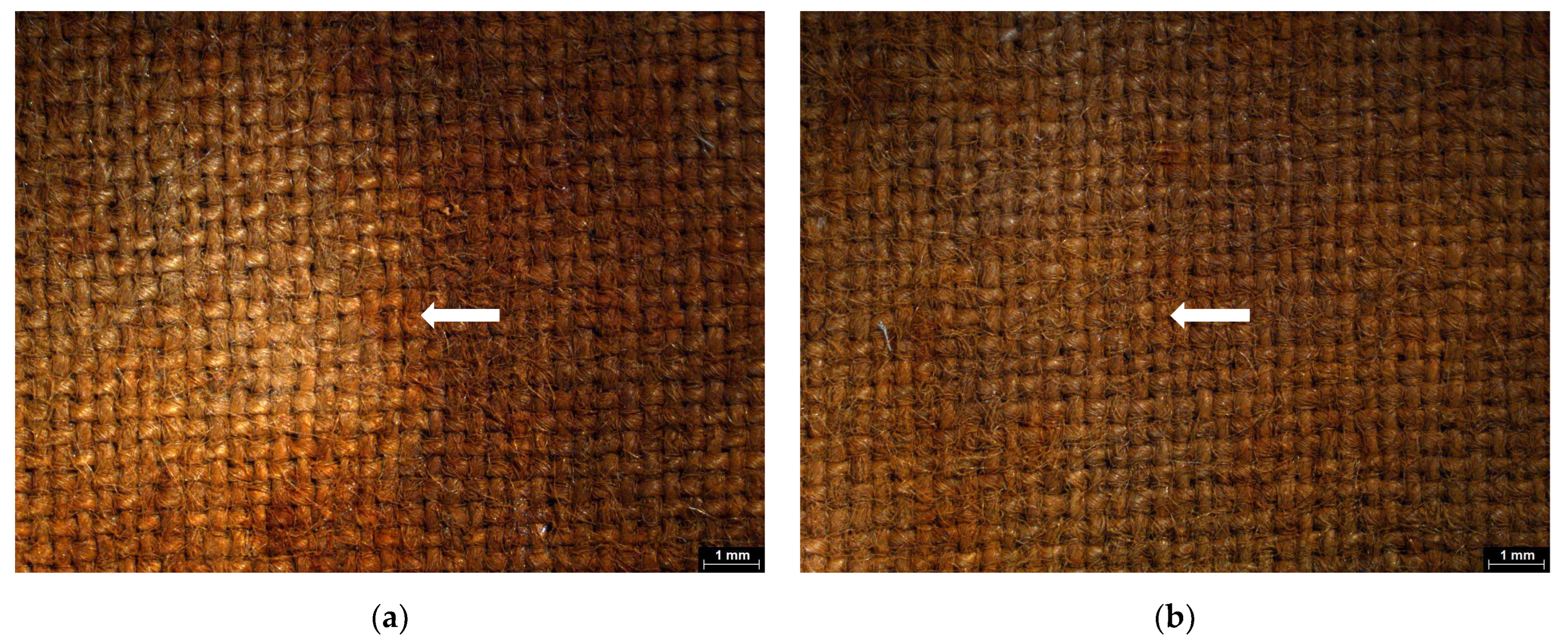 Gels 11 00828 g016 Gels 11 00828 g016