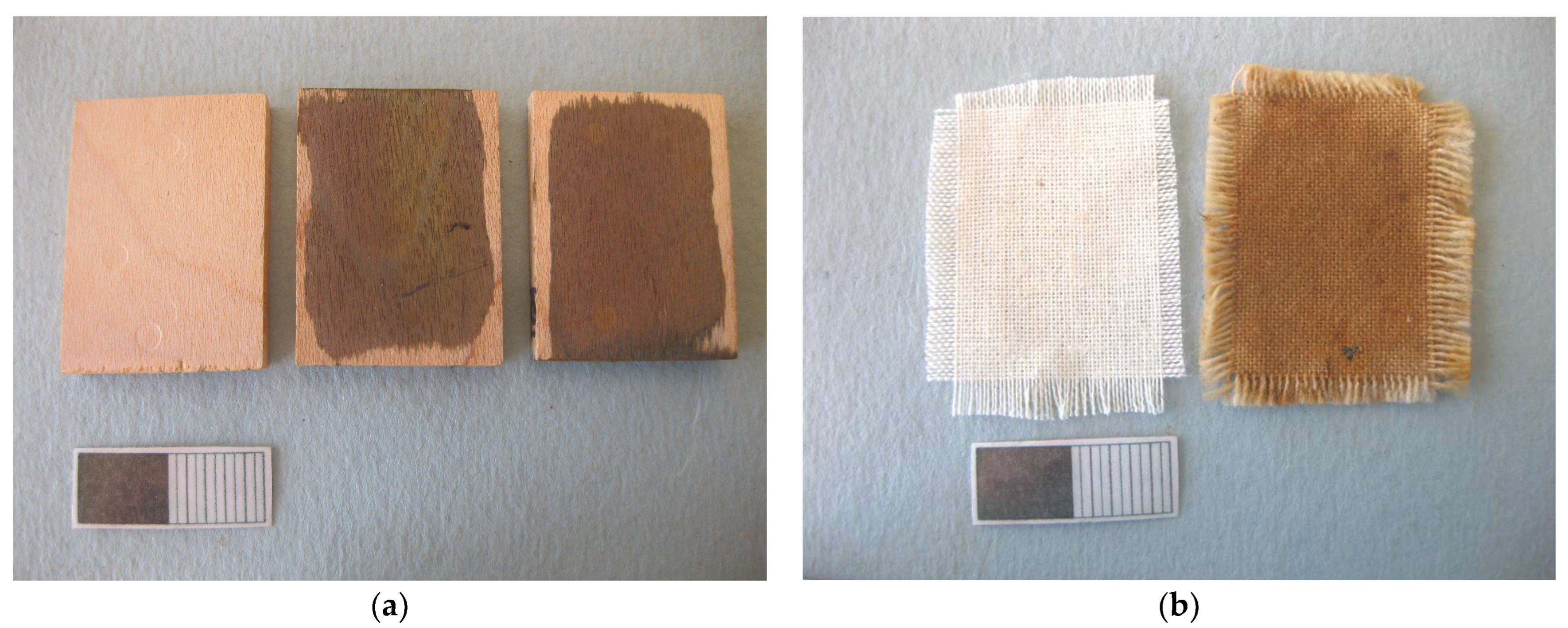 Gels 11 00828 g018 Gels 11 00828 g018