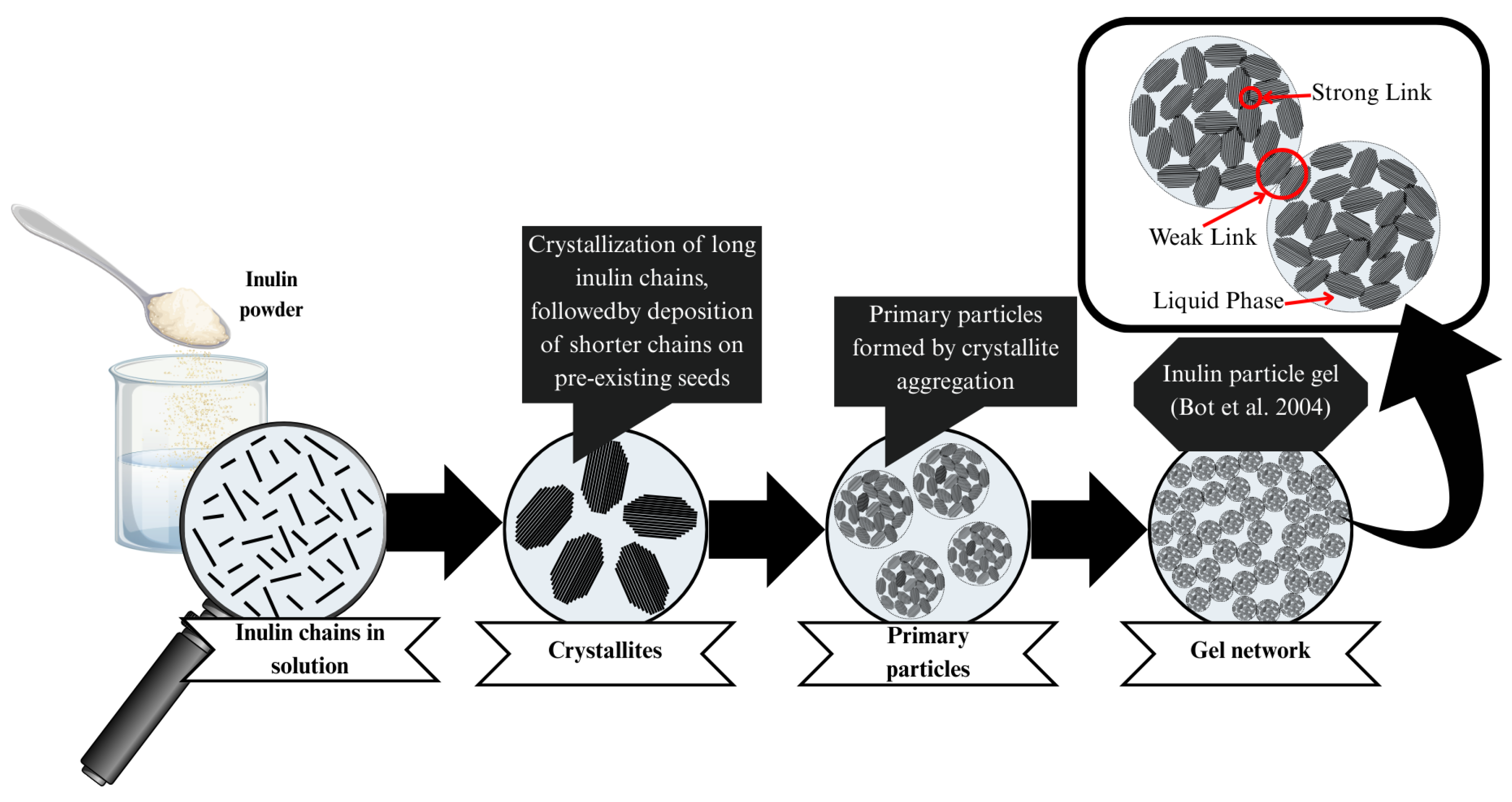 Gels 11 00829 g003 Gels 11 00829 g003