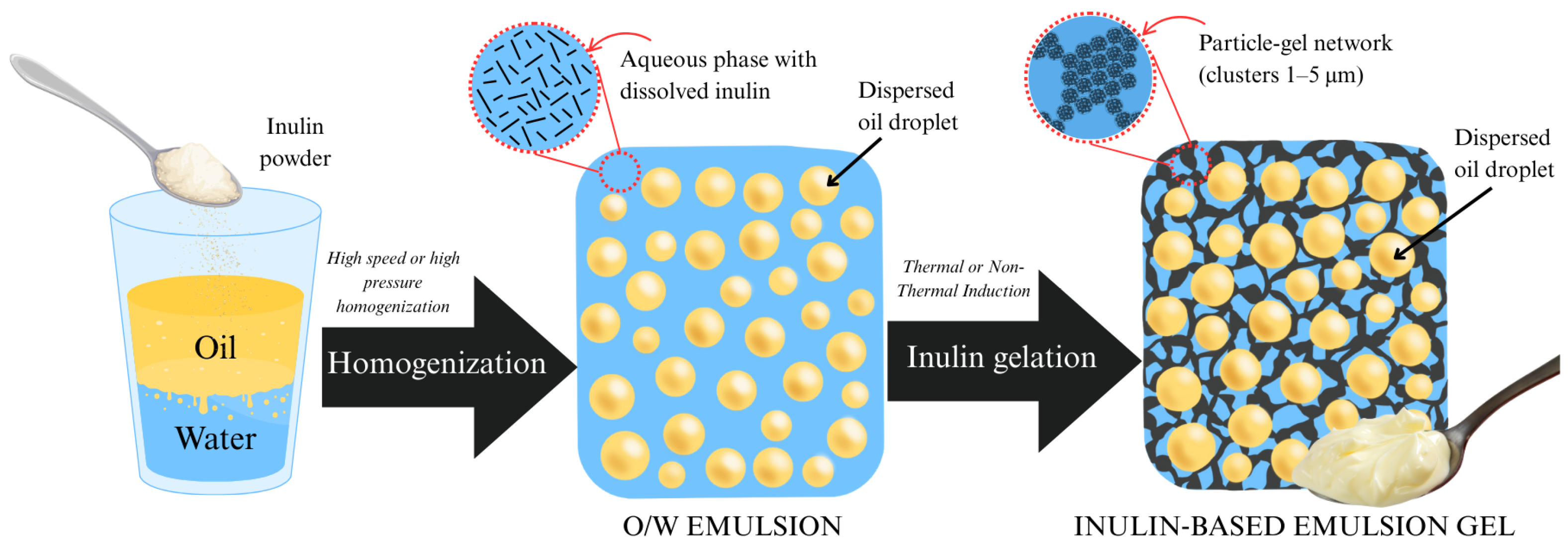 Gels 11 00829 g004 Gels 11 00829 g004