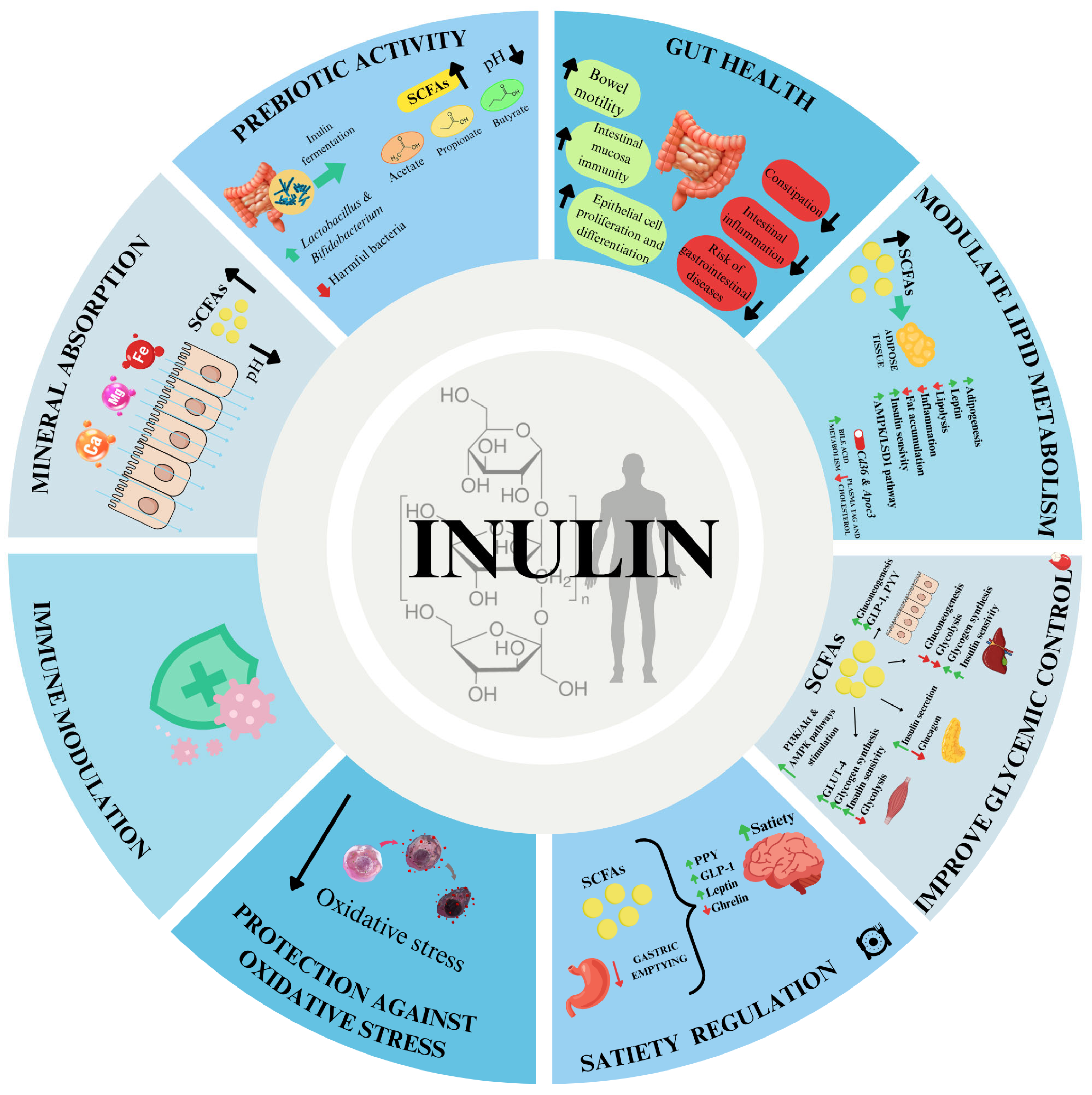 Gels 11 00829 g005 Gels 11 00829 g005