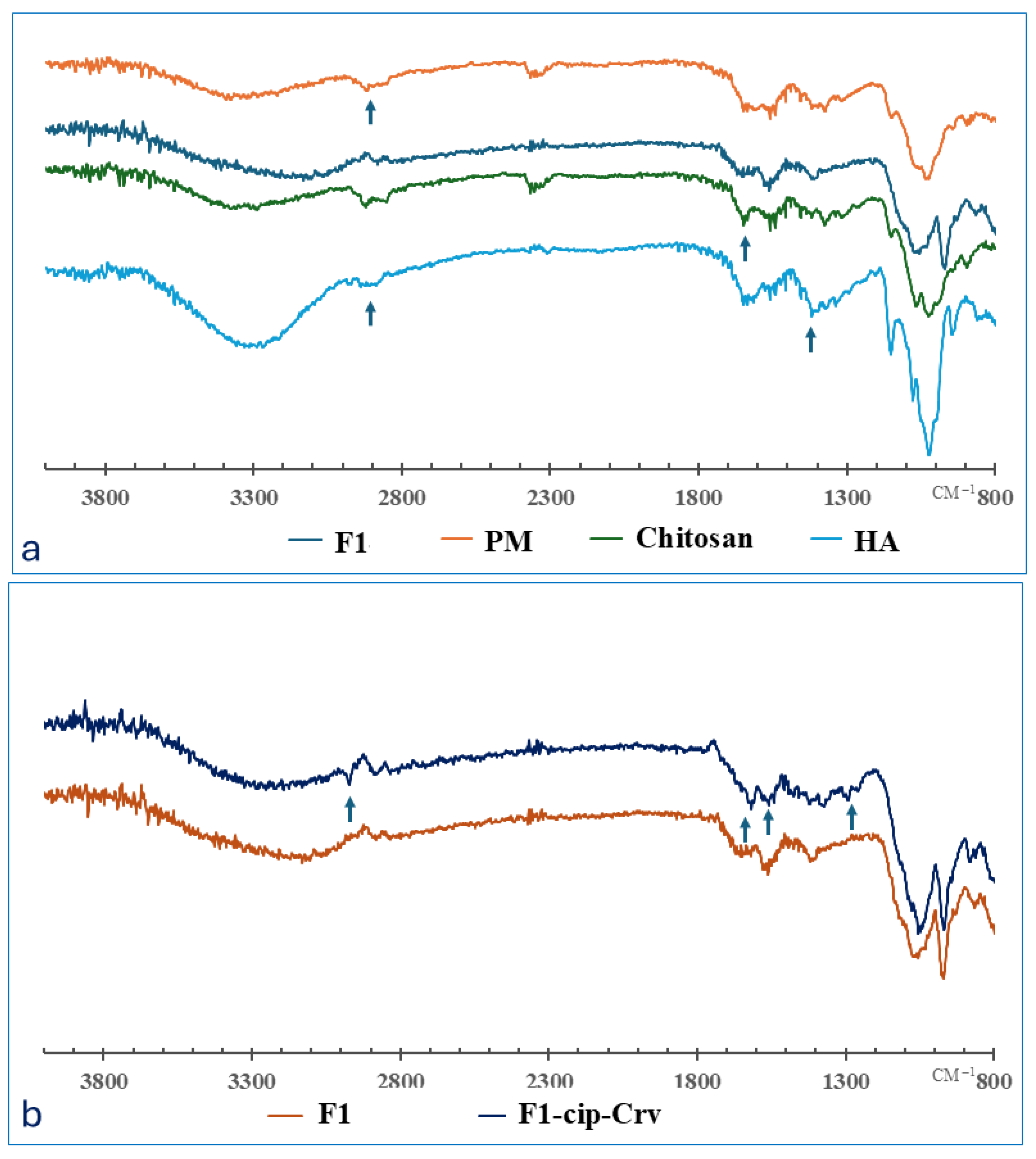 Gels 11 00835 g001 Gels 11 00835 g001