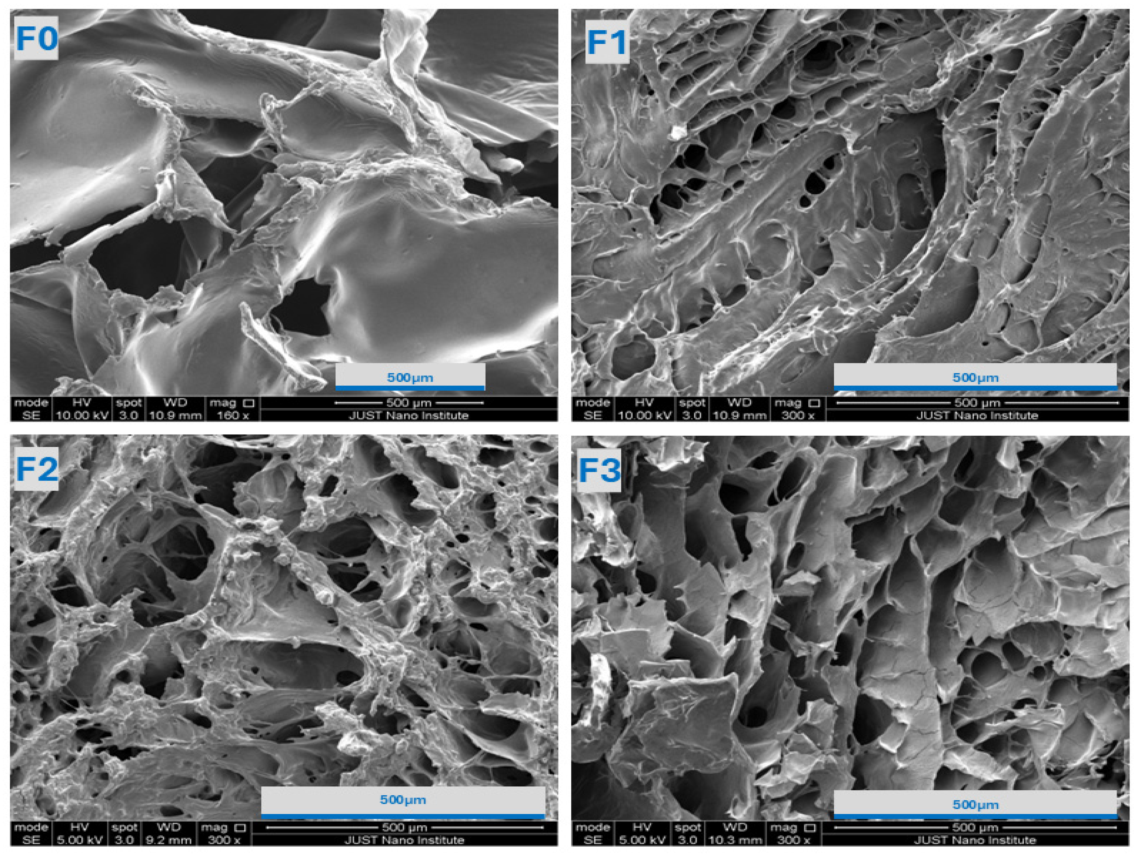 Gels 11 00835 g002 Gels 11 00835 g002