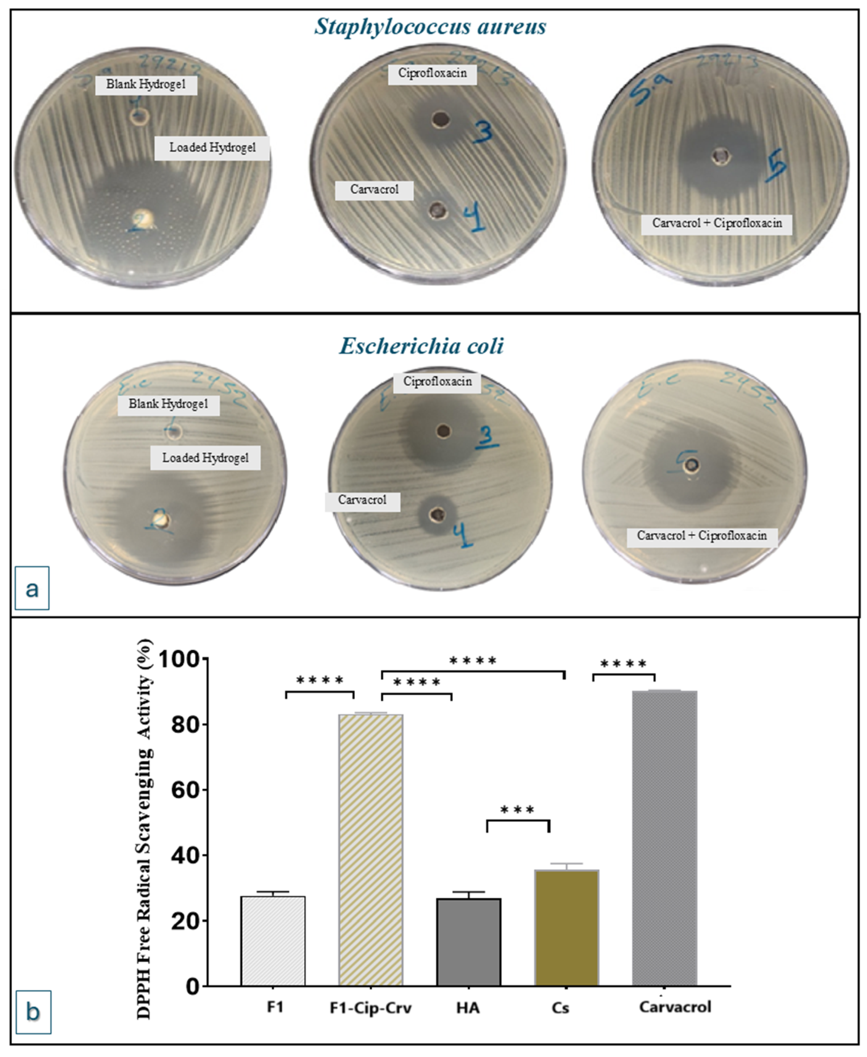 Gels 11 00835 g006 Gels 11 00835 g006