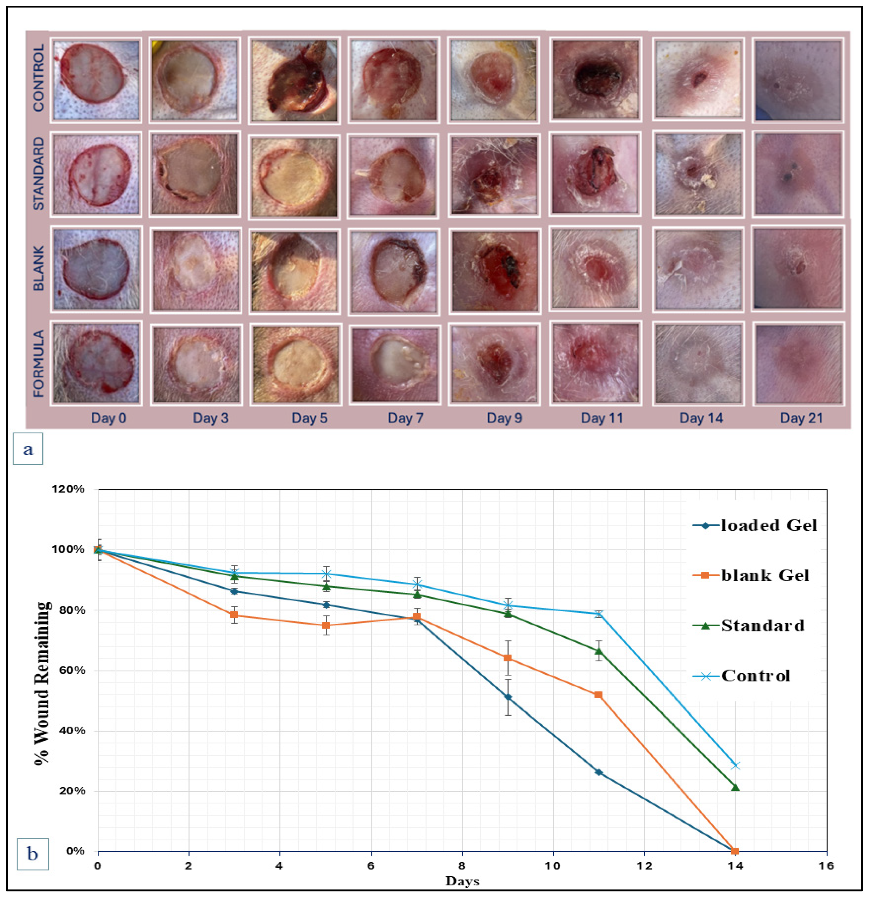 Gels 11 00835 g007 Gels 11 00835 g007