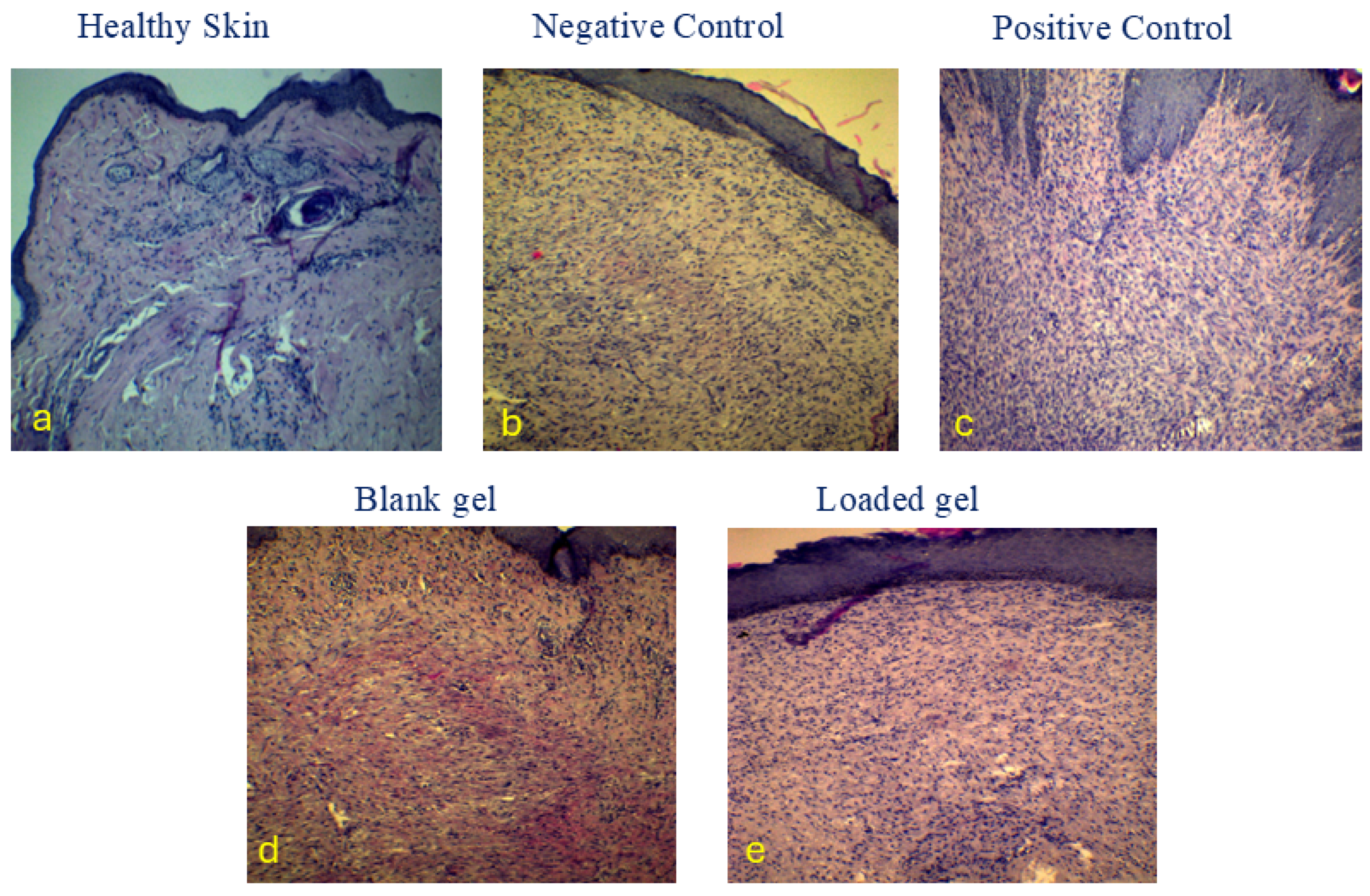 Gels 11 00835 g008 Gels 11 00835 g008