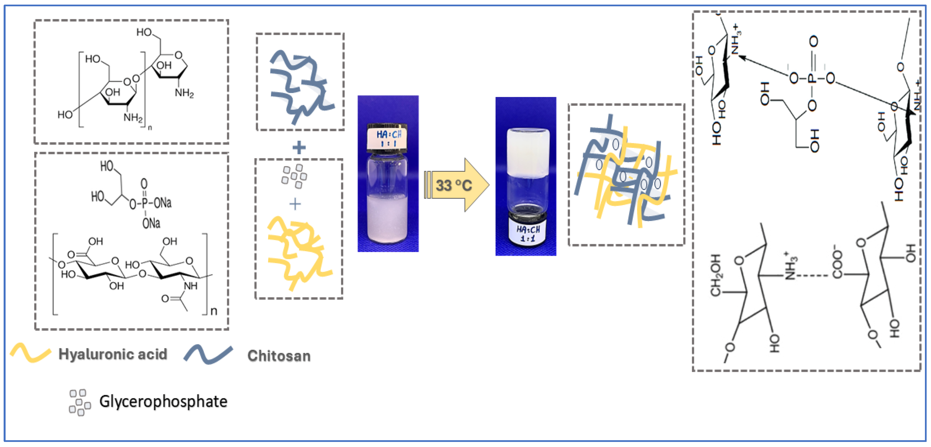 Gels 11 00835 g009 Gels 11 00835 g009