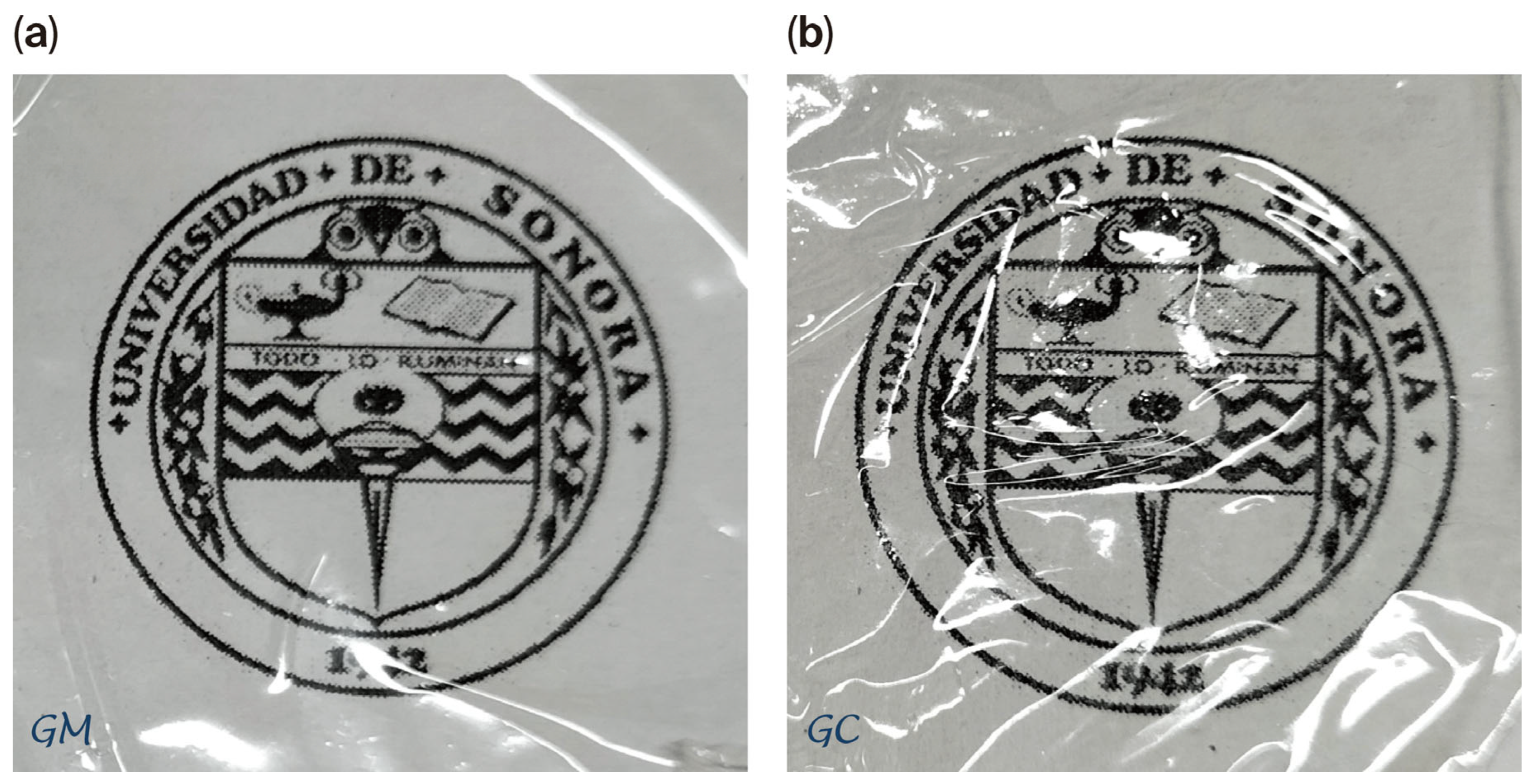 Gels 11 00836 g004 Gels 11 00836 g004