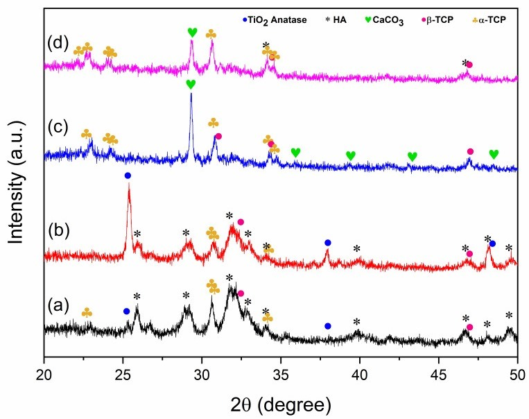 Gels 11 00837 g003 Gels 11 00837 g003