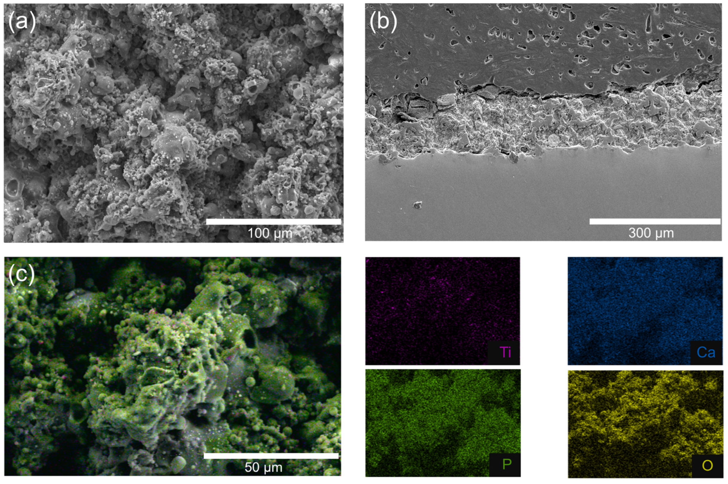 Gels 11 00837 g004 Gels 11 00837 g004