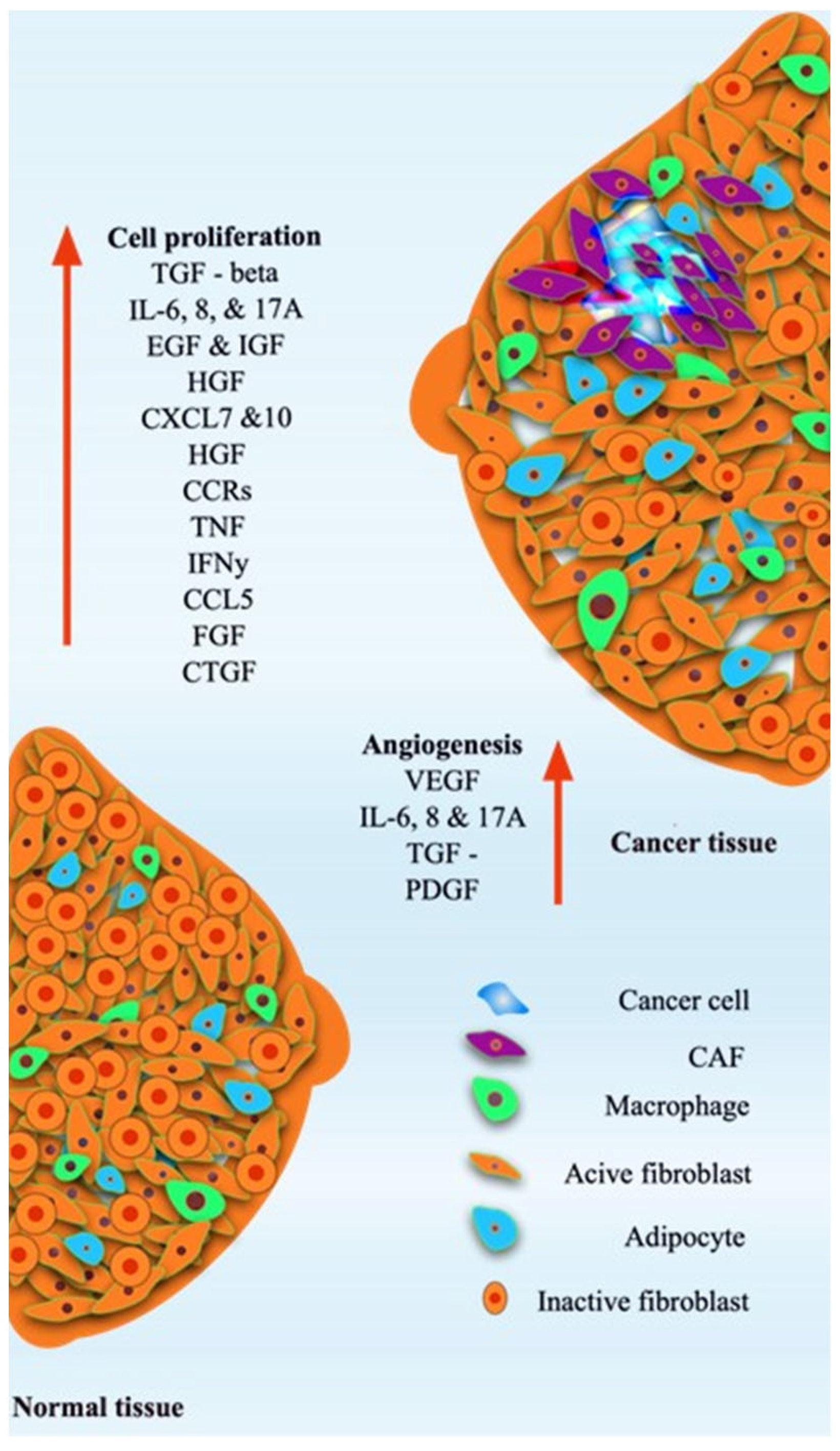 Gels 11 00855 g001 Gels 11 00855 g001
