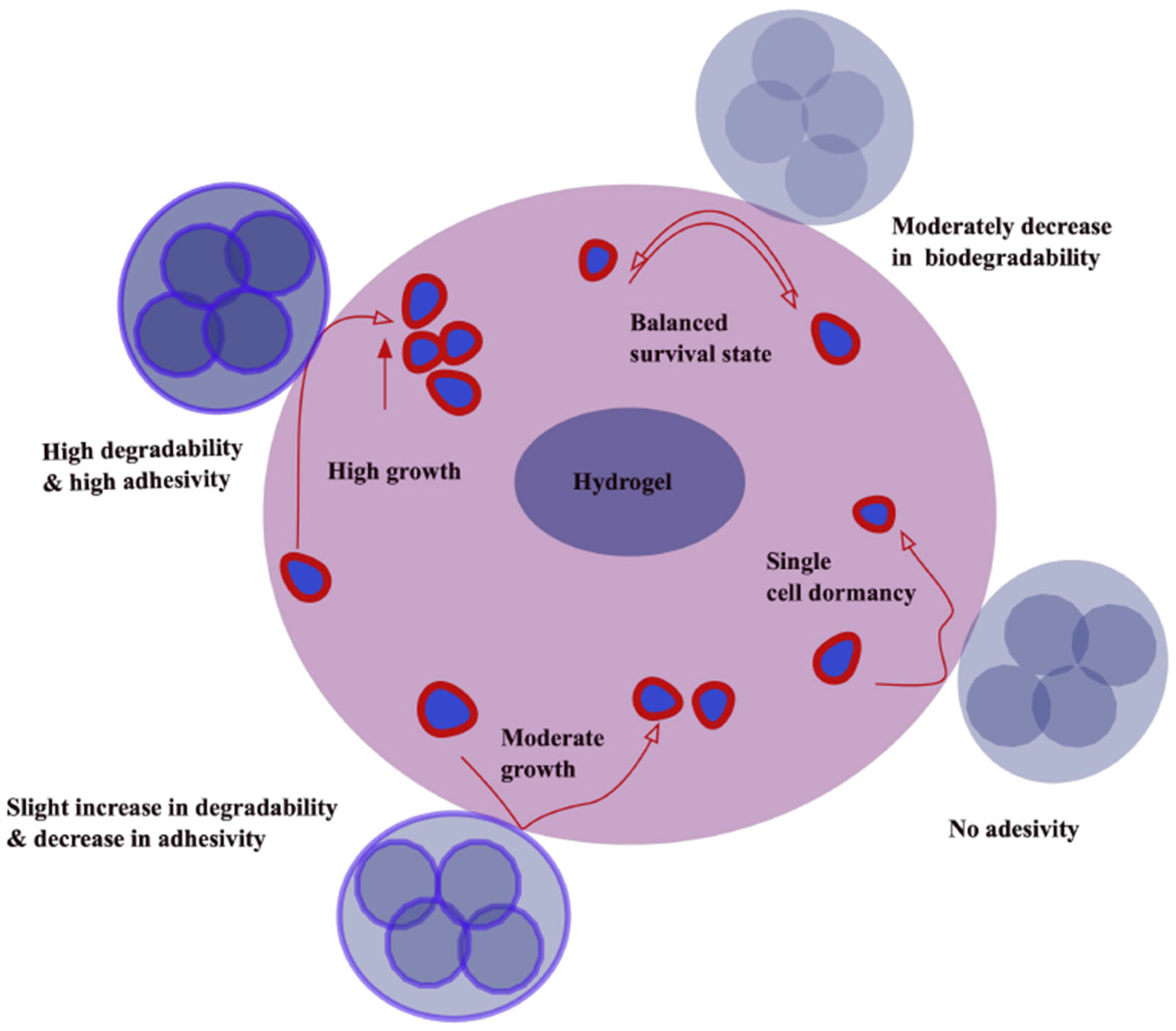 Gels 11 00855 g003 Gels 11 00855 g003