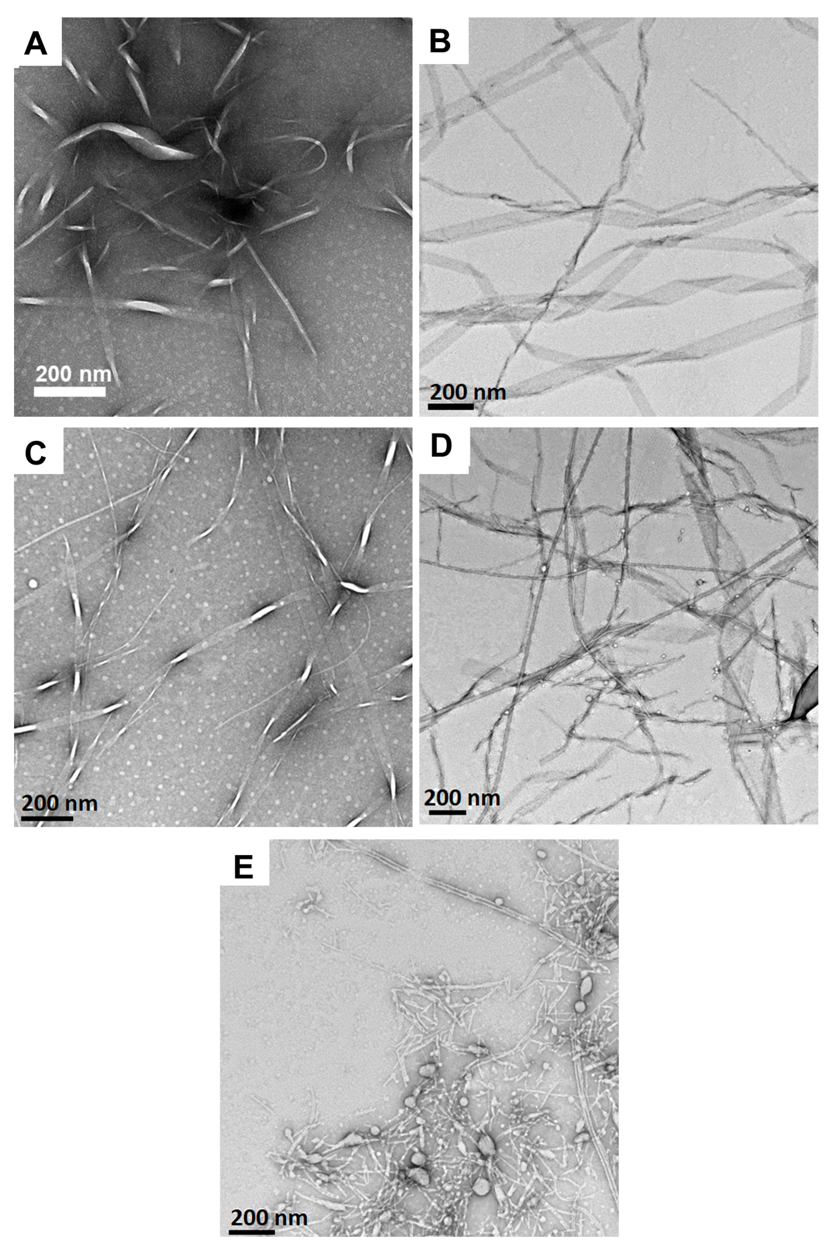 Gels 11 00877 g005 Gels 11 00877 g005
