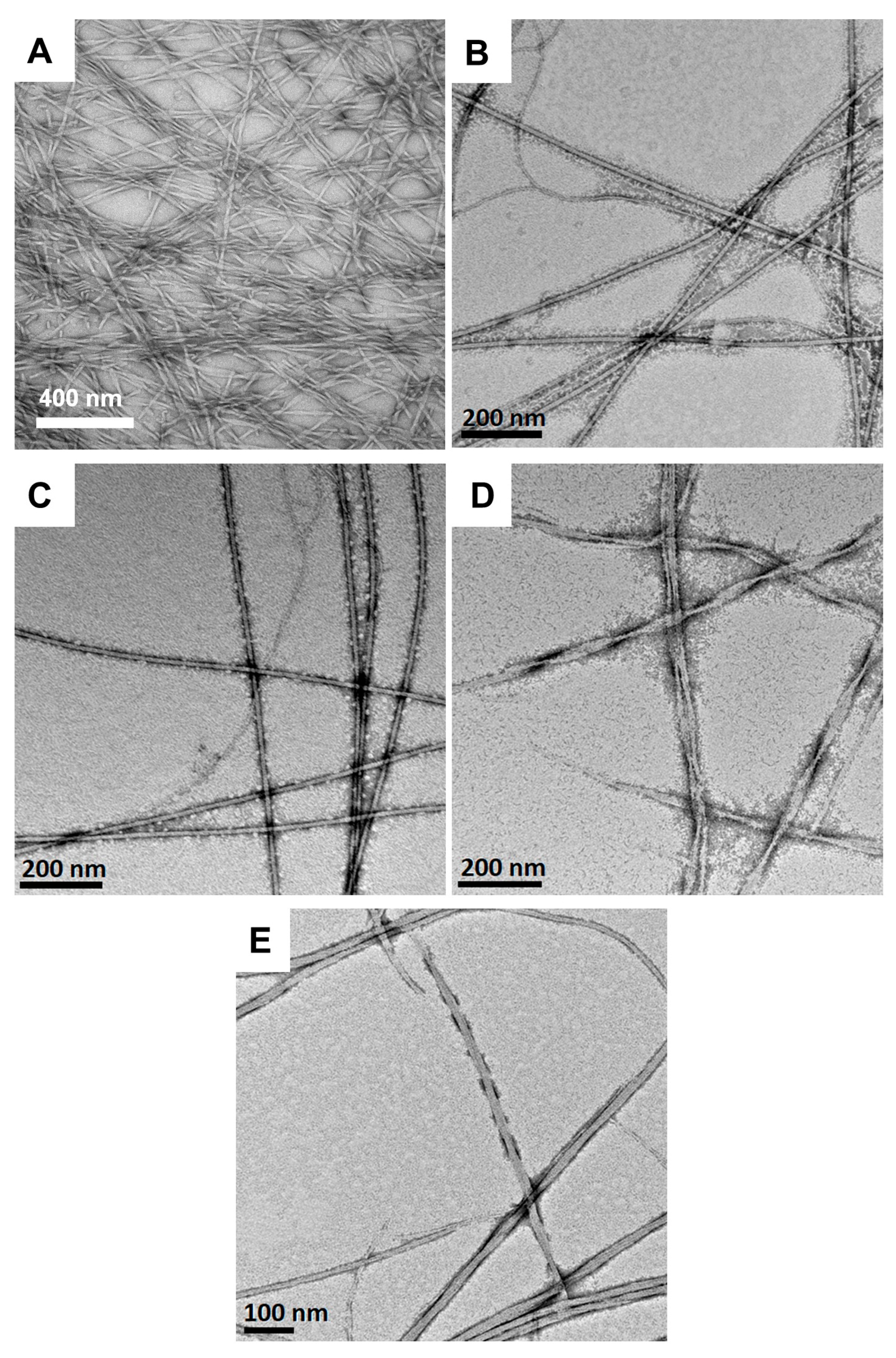 Gels 11 00877 g006 Gels 11 00877 g006