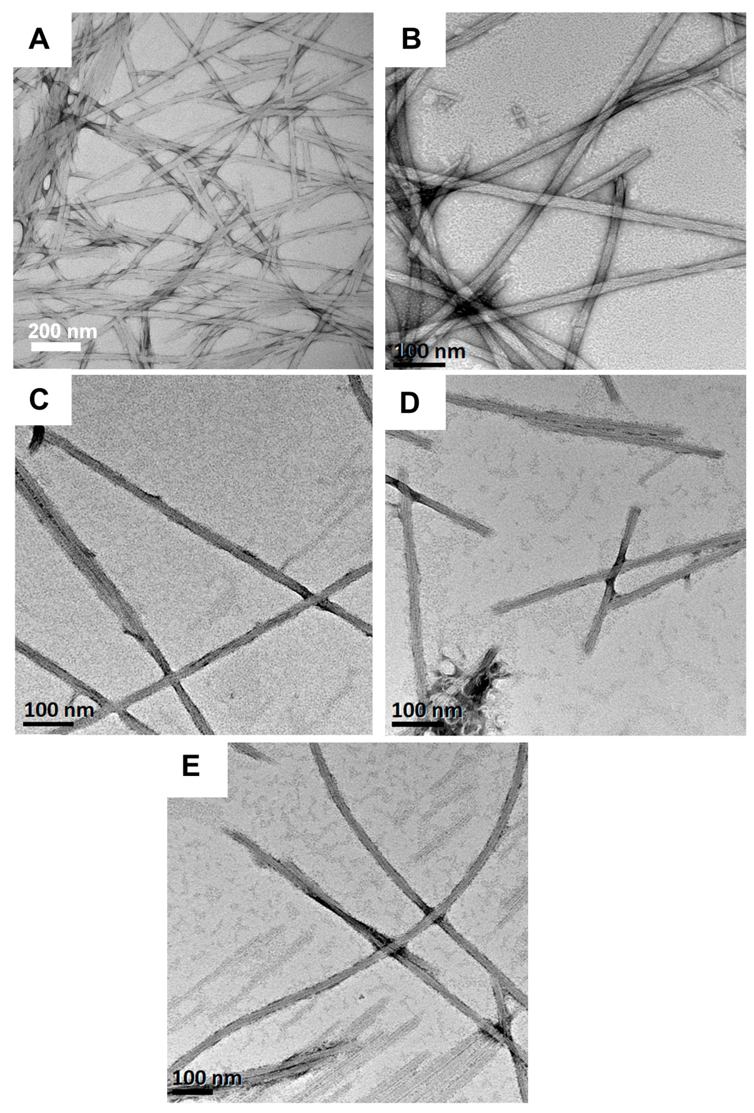 Gels 11 00877 g007 Gels 11 00877 g007