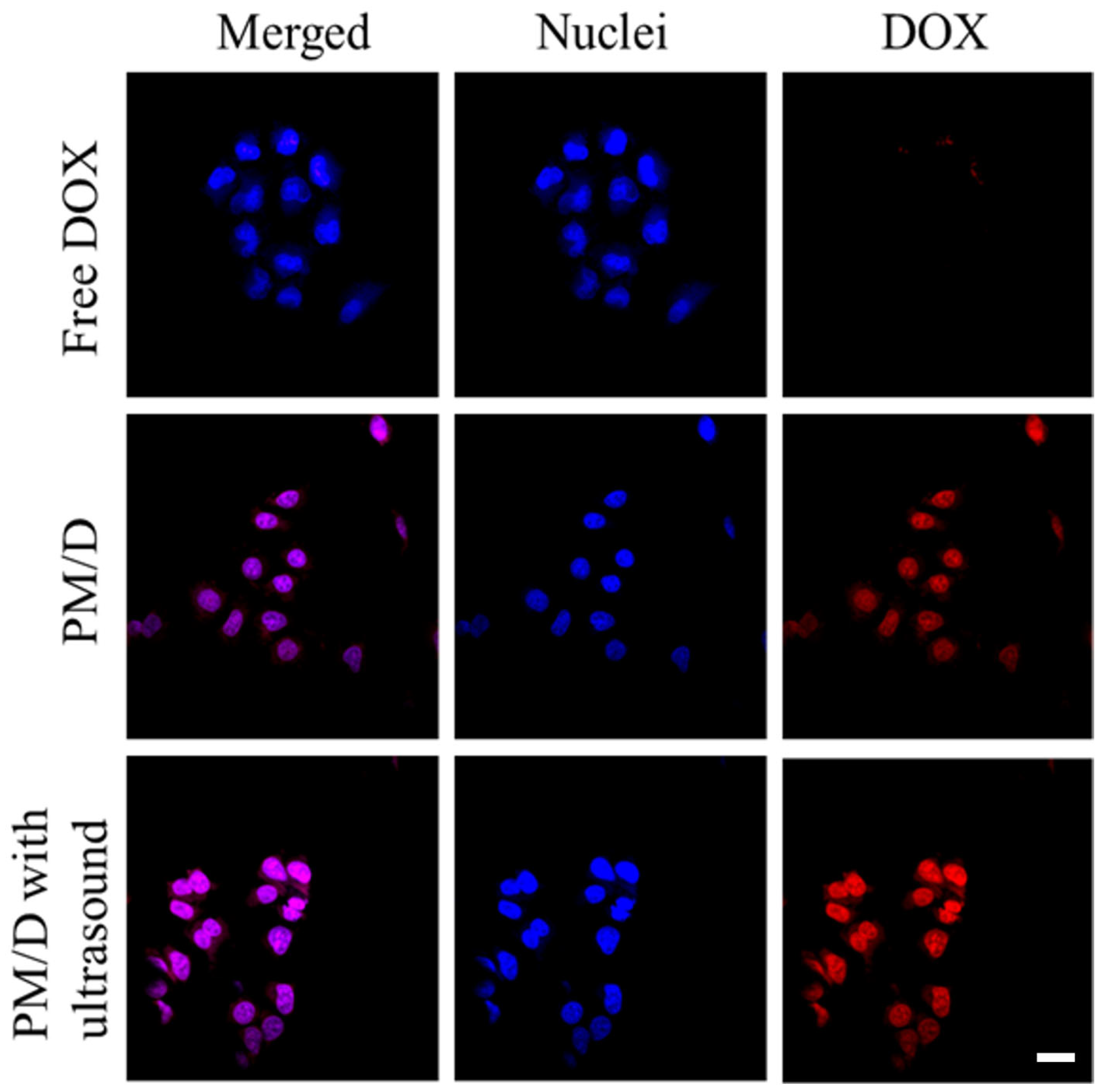 Gels 11 00878 g005 Gels 11 00878 g005