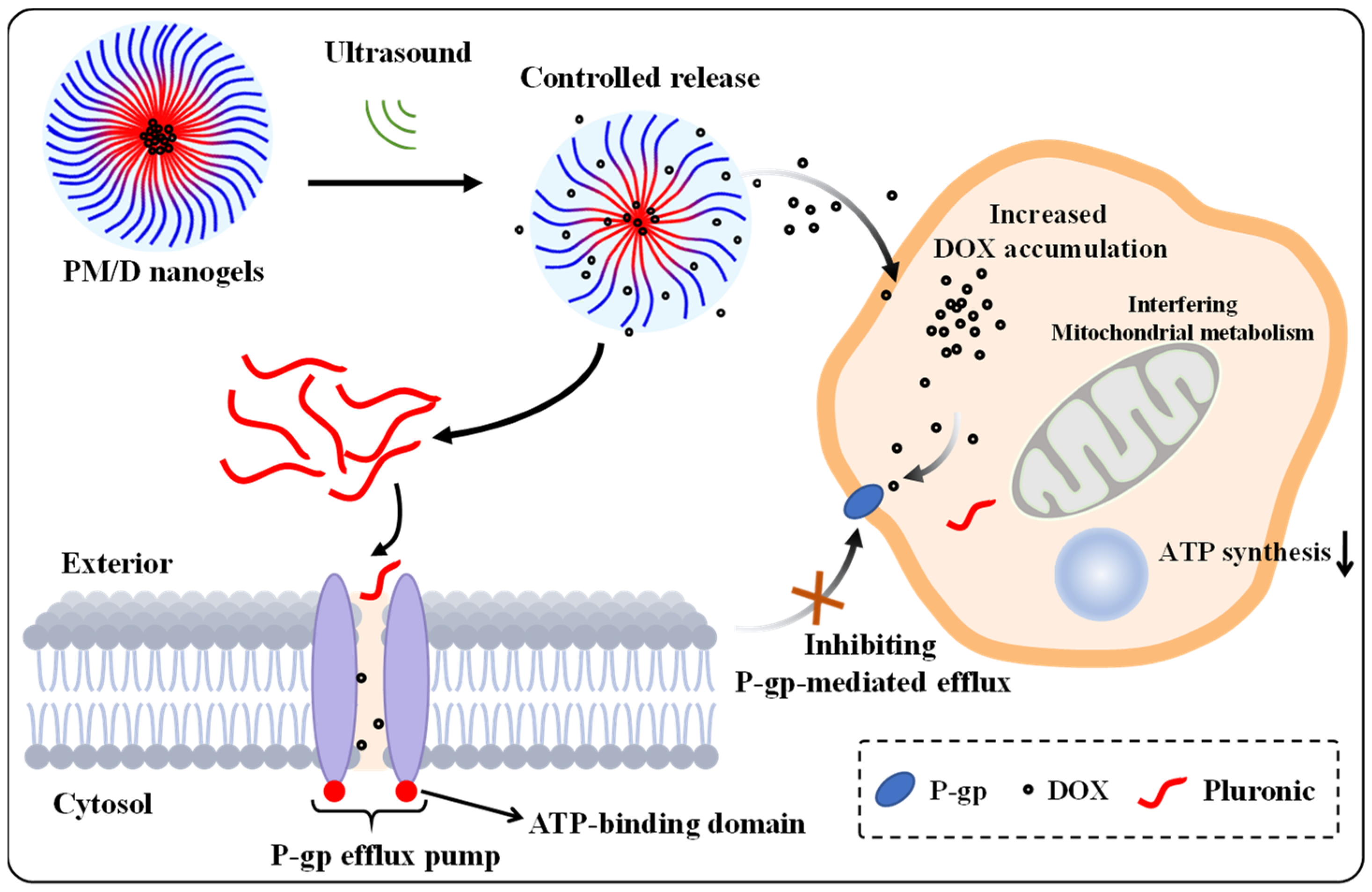Gels 11 00878 g006 Gels 11 00878 g006