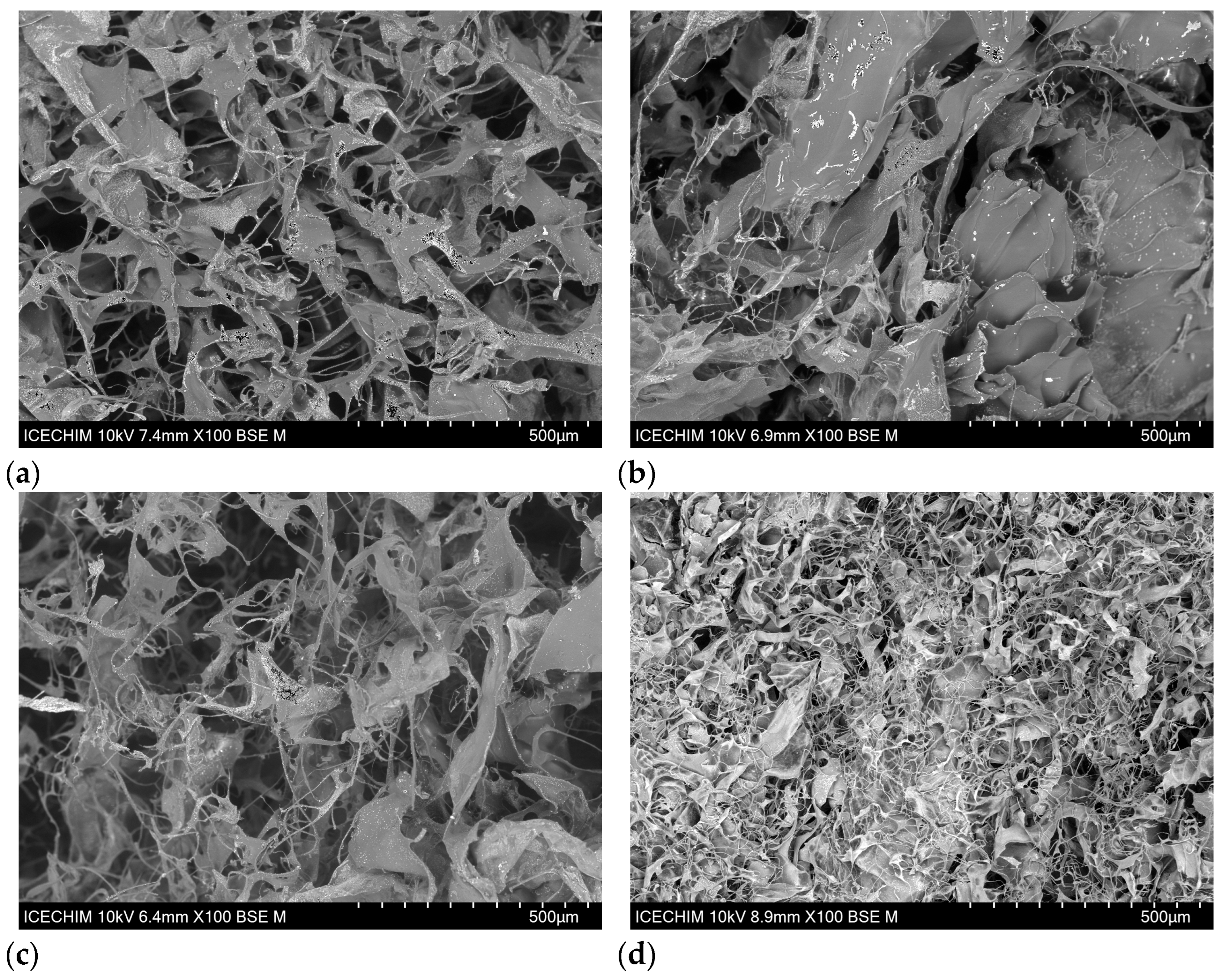 Gels 11 00879 g005 Gels 11 00879 g005