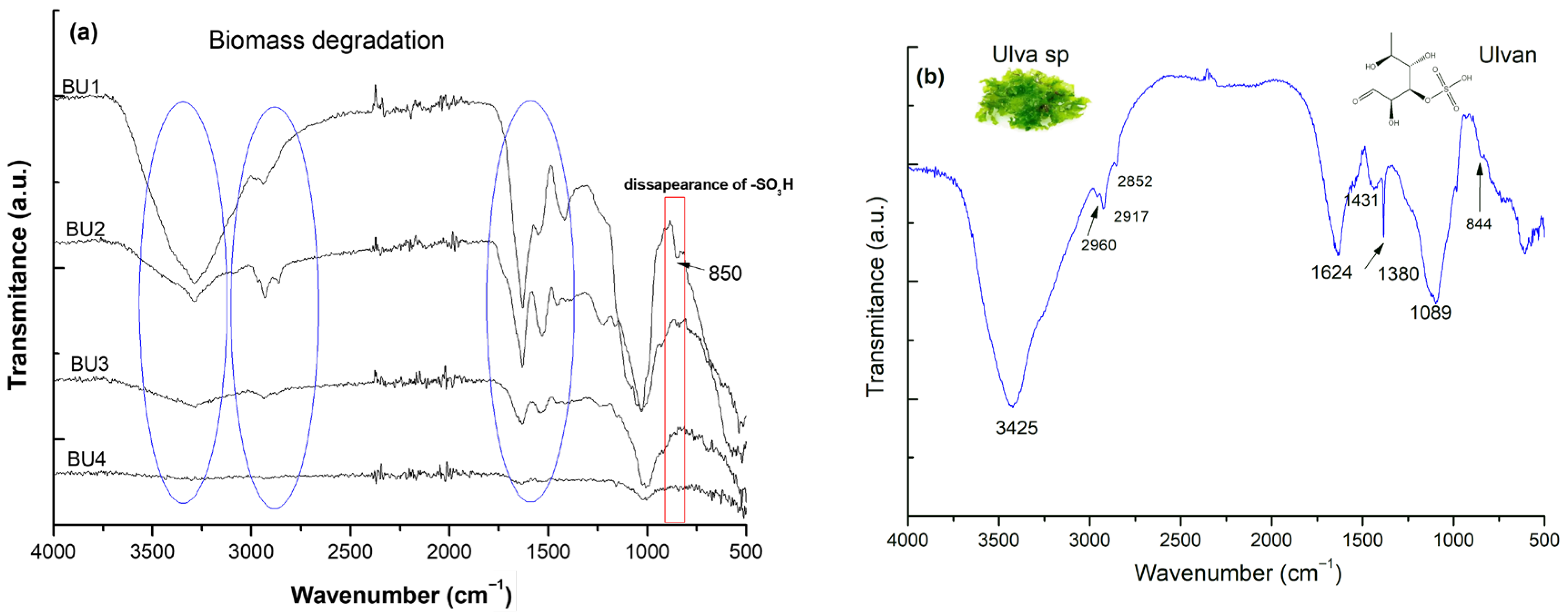 Gels 11 00881 g001 Gels 11 00881 g001
