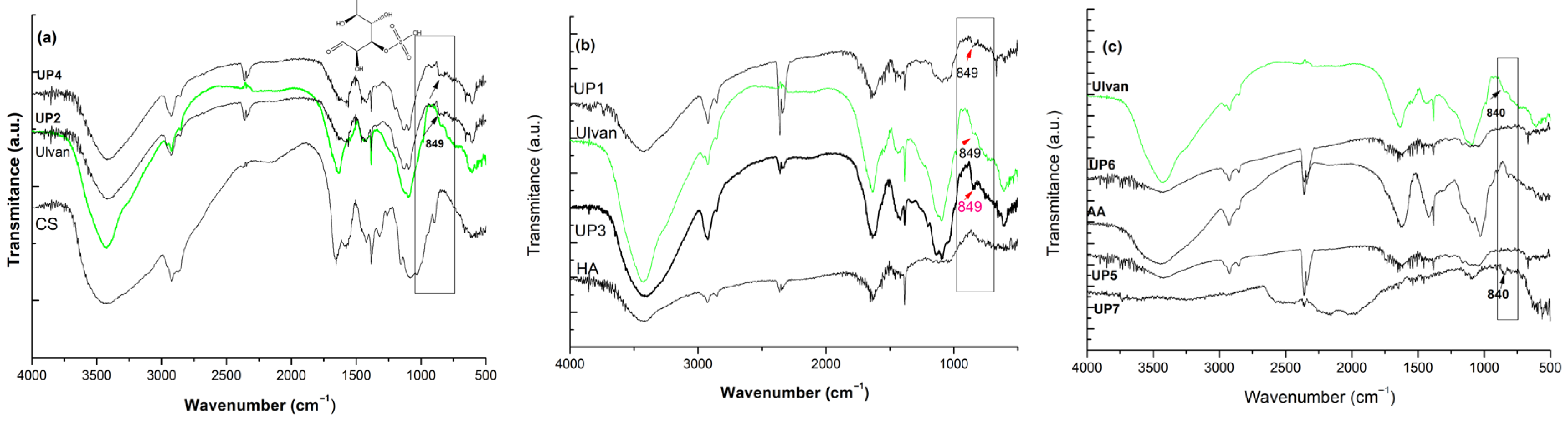 Gels 11 00881 g002 Gels 11 00881 g002