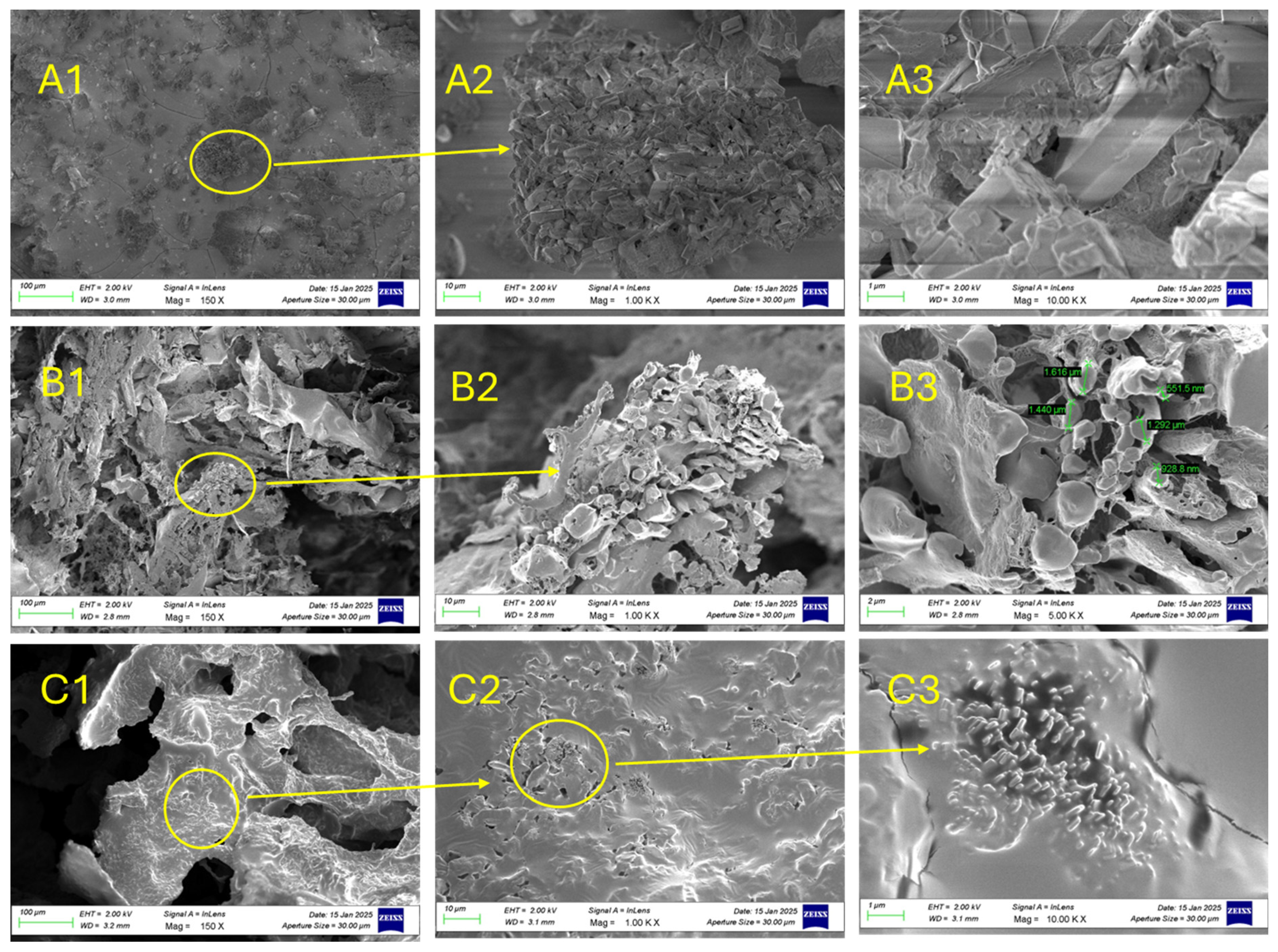 Gels 11 00881 g006 Gels 11 00881 g006