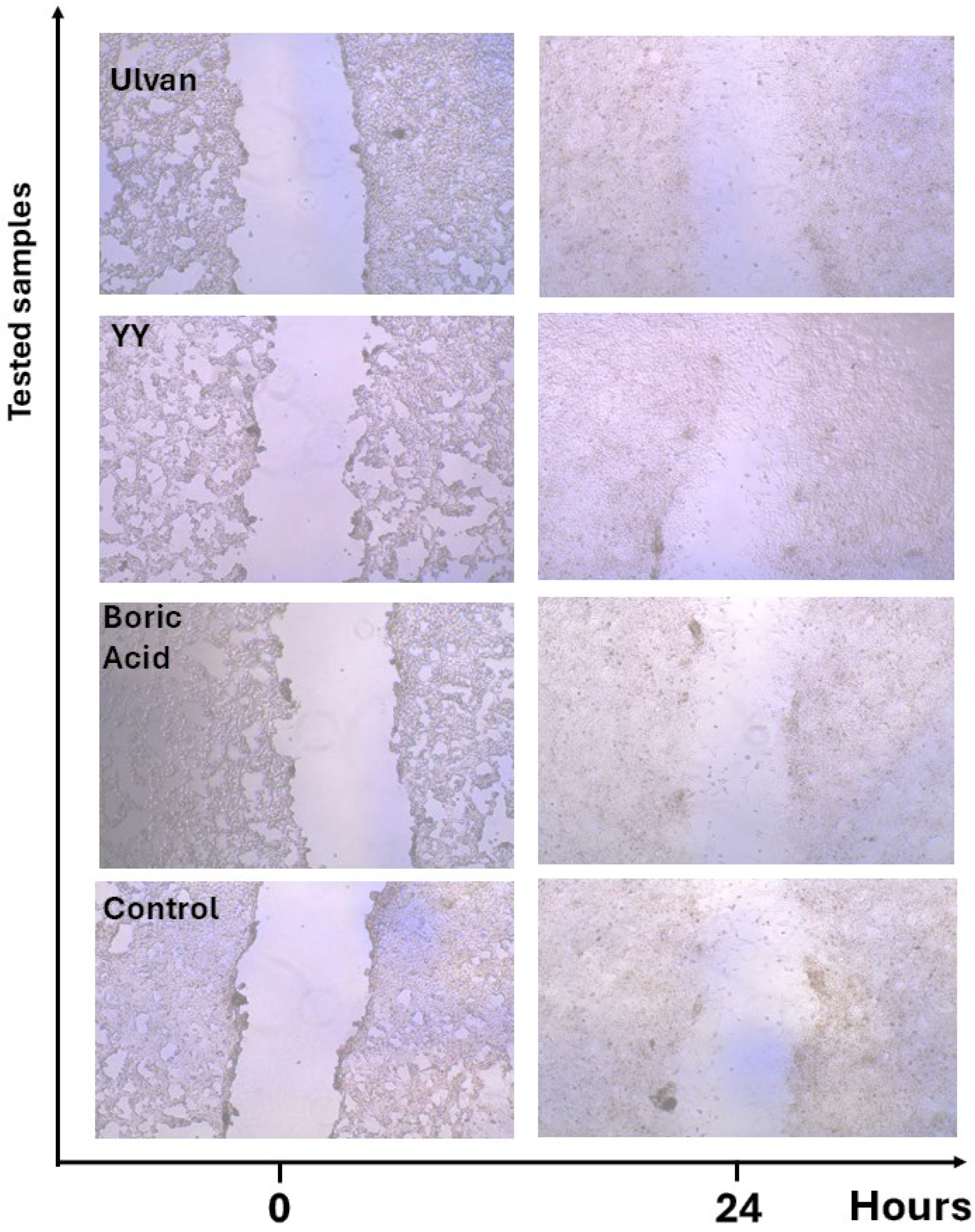 Gels 11 00881 g011 Gels 11 00881 g011