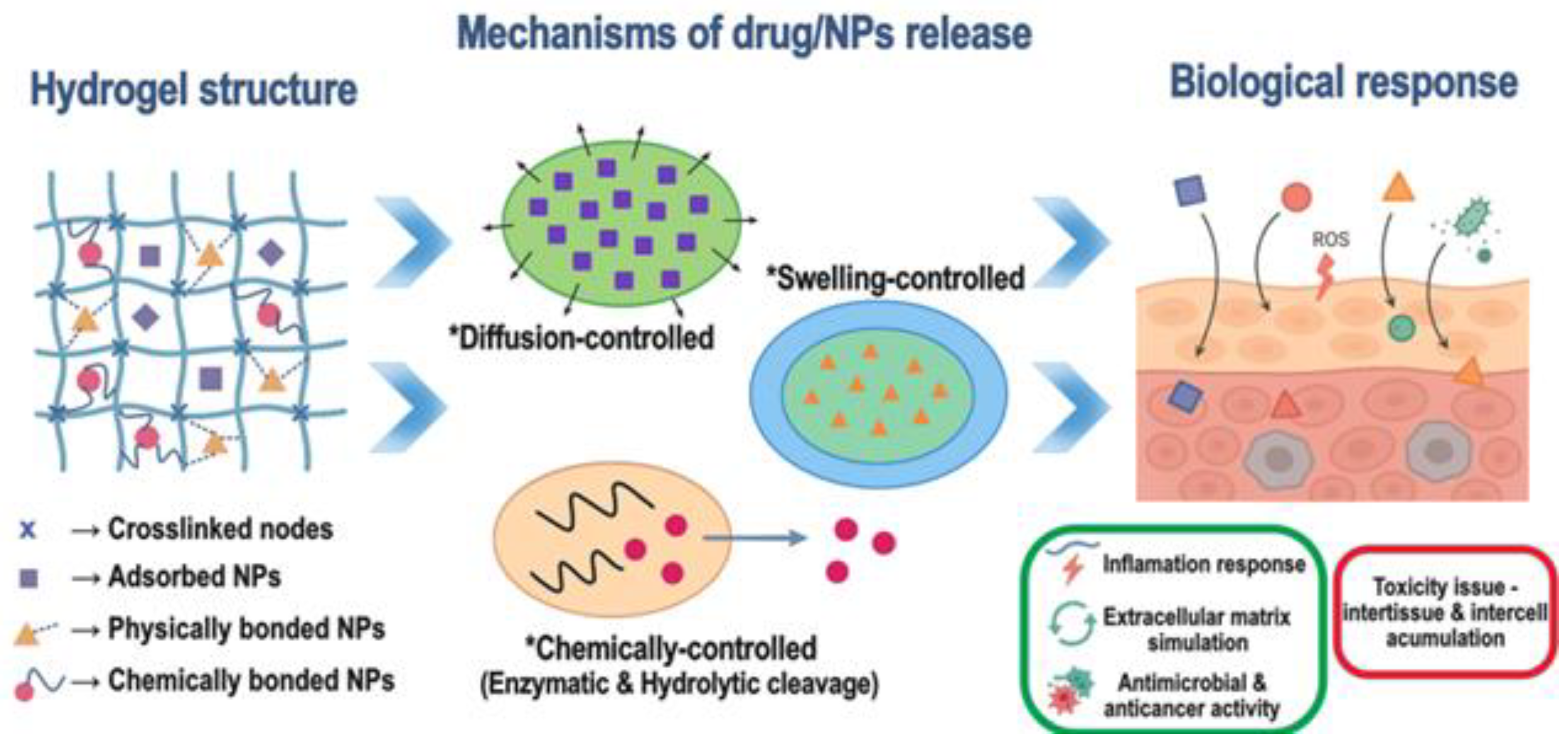 Gels 11 00892 g001 Gels 11 00892 g001