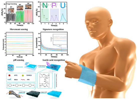 Preparation of Dual-Network Hydrogels and Their Application in