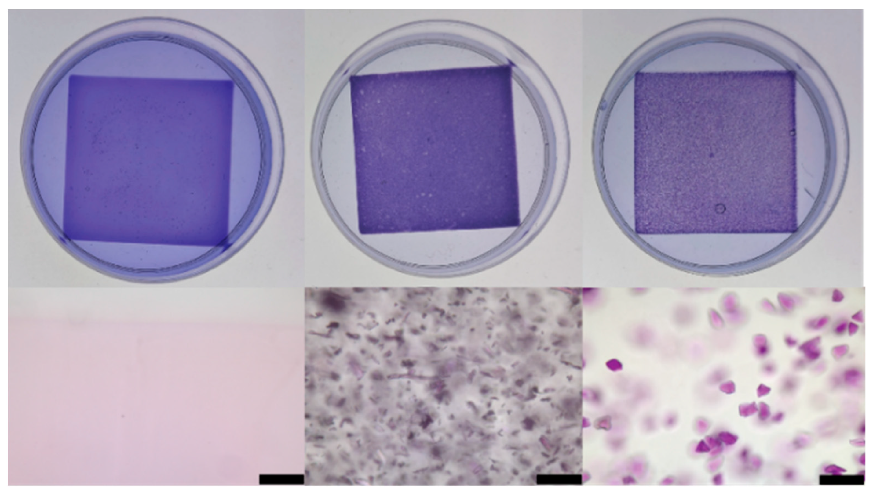 Gels 11 00965 g003 Gels 11 00965 g003