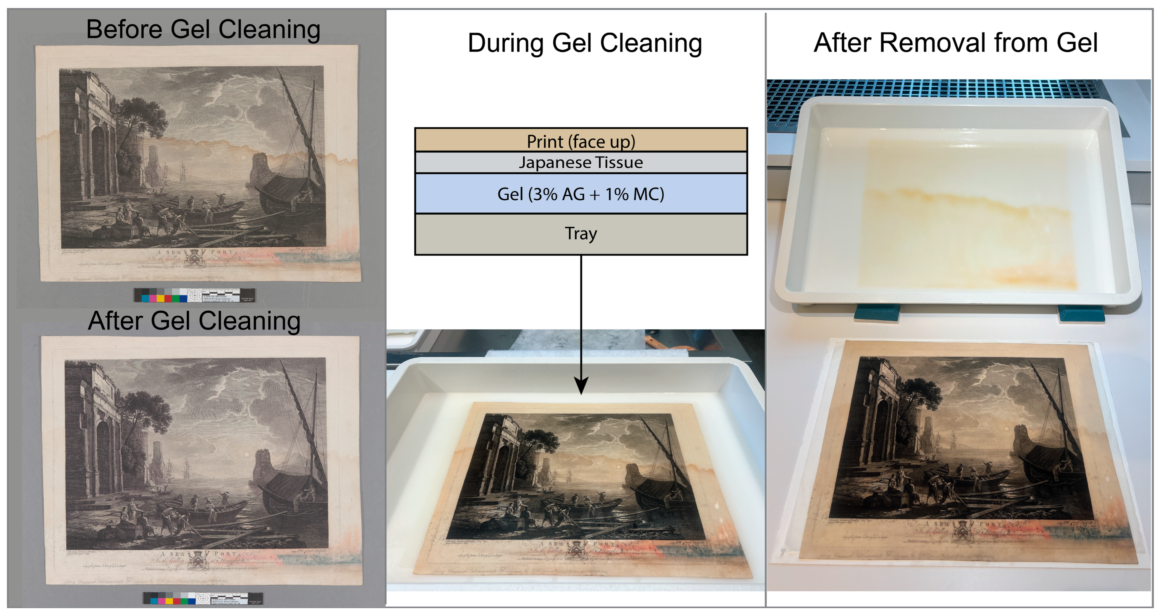 Gels 11 00965 g008 Gels 11 00965 g008