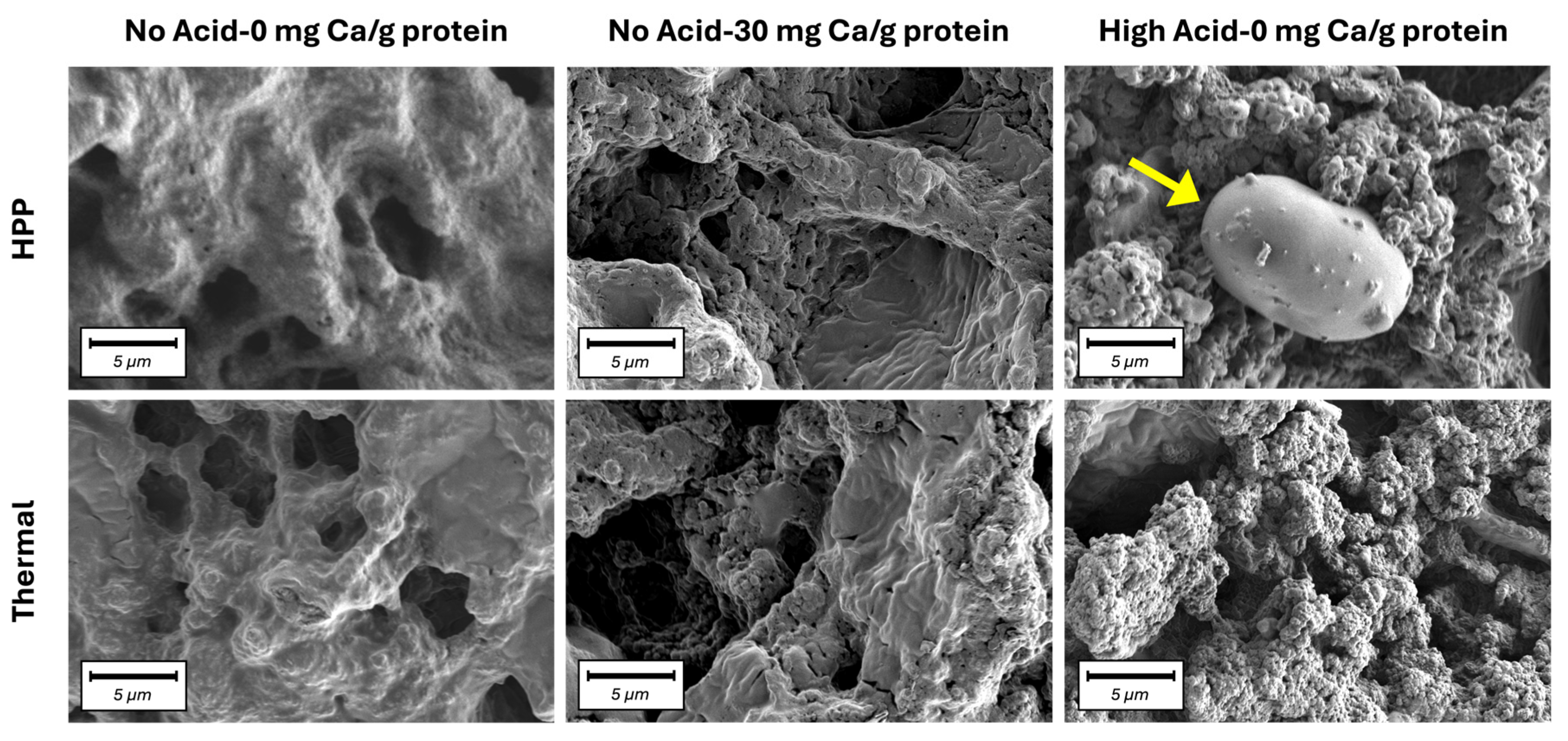 Gels 11 00971 g005 Gels 11 00971 g005